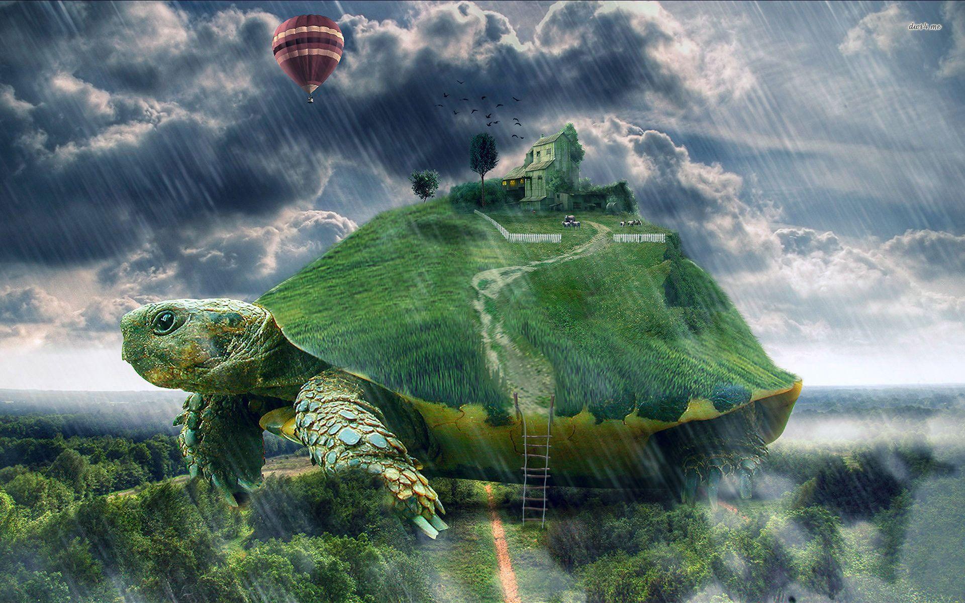 Turtle Walking In The Rain Wallpaper. Everything Photography