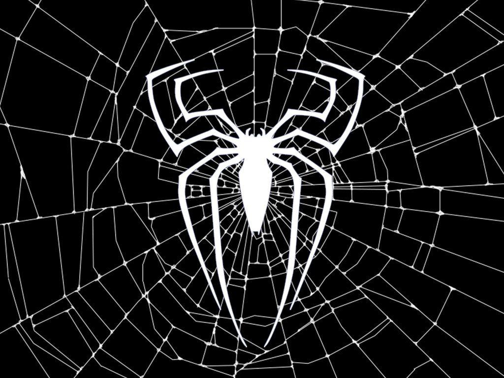 High Quality Spider Web Background Wallpaper Full HD Picture. HD