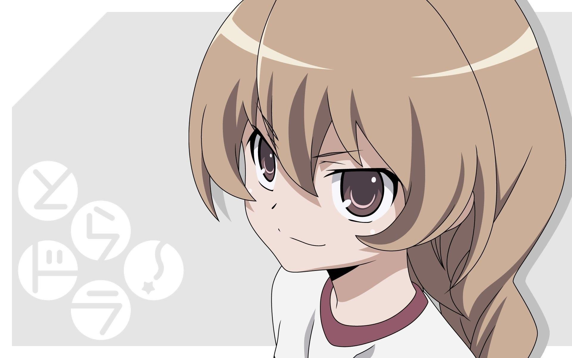 Aisaka Taiga image taiga wallpaper HD wallpaper and background