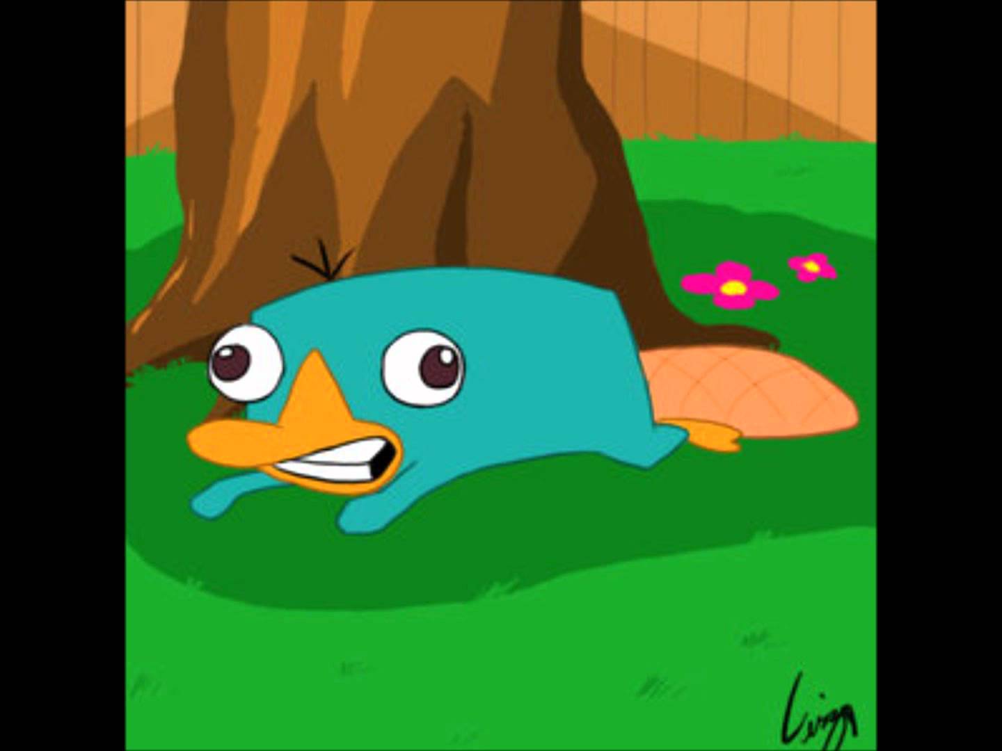 900x563px Perry The Platypus Wallpaper