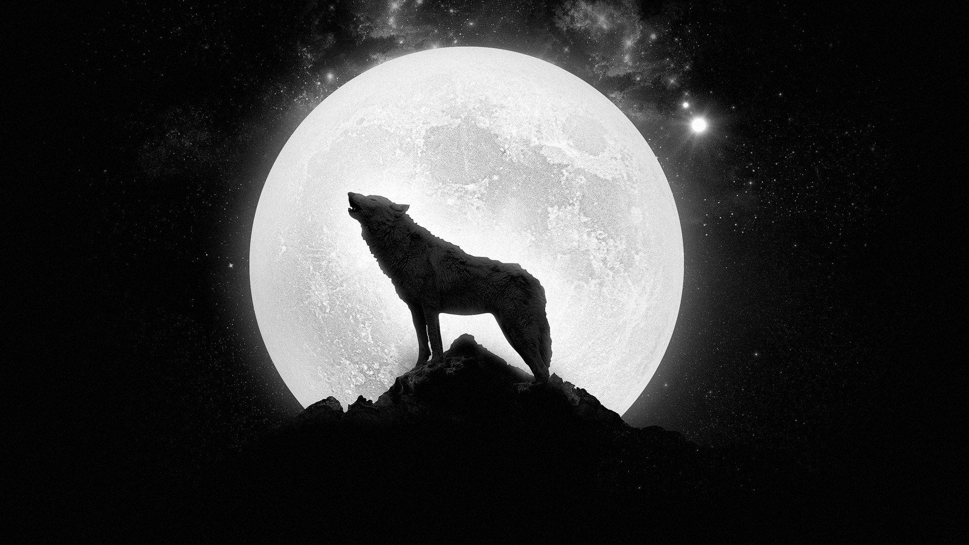 Wolf Super Moon Wallpaper Android Touching Fashion Summary