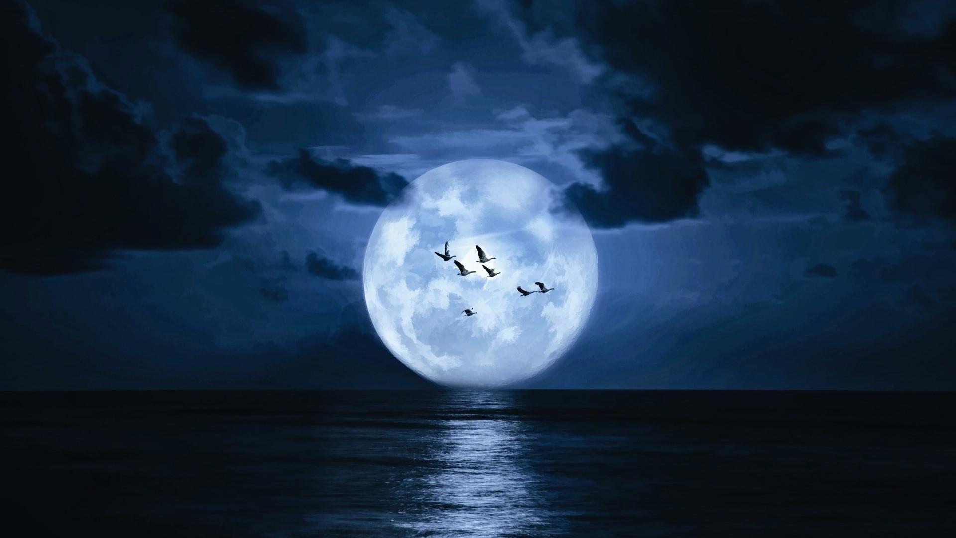 Supermoon On The Night Sky Above The Sea Wallpaper. Wallpaper