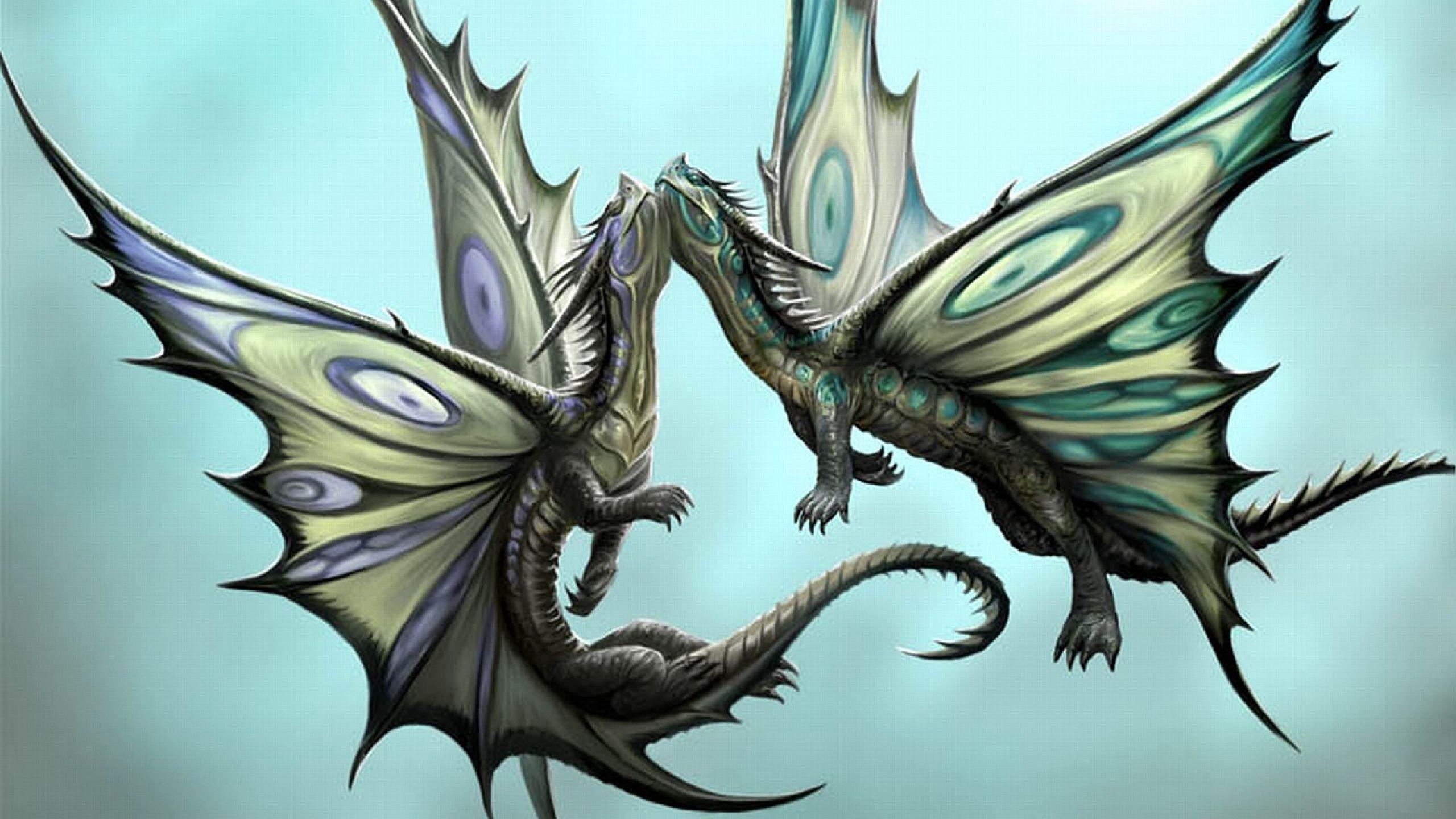 Dragon Full HD Wallpaper and Backgroundx1440