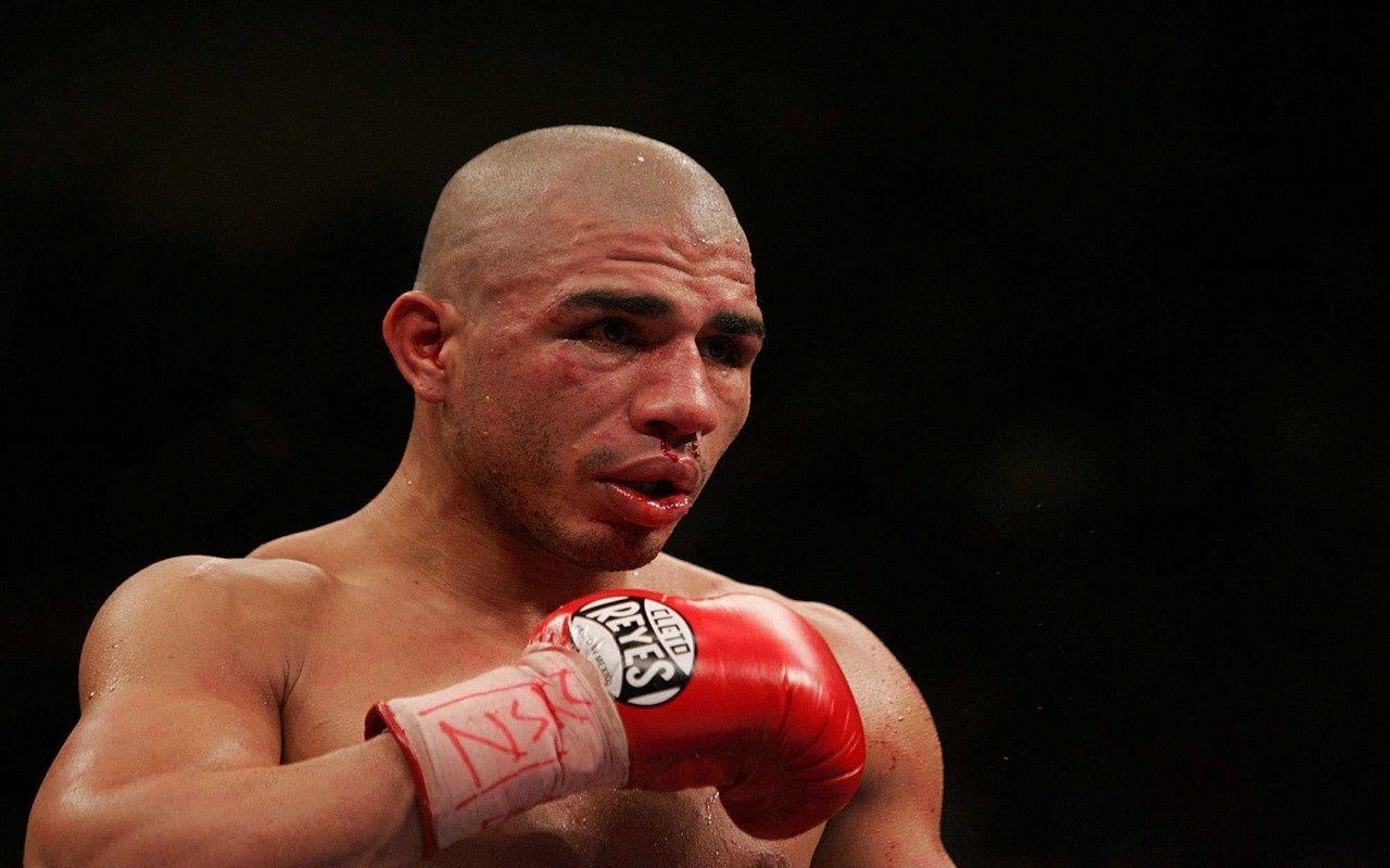 Miguel Cotto Boxing Record
