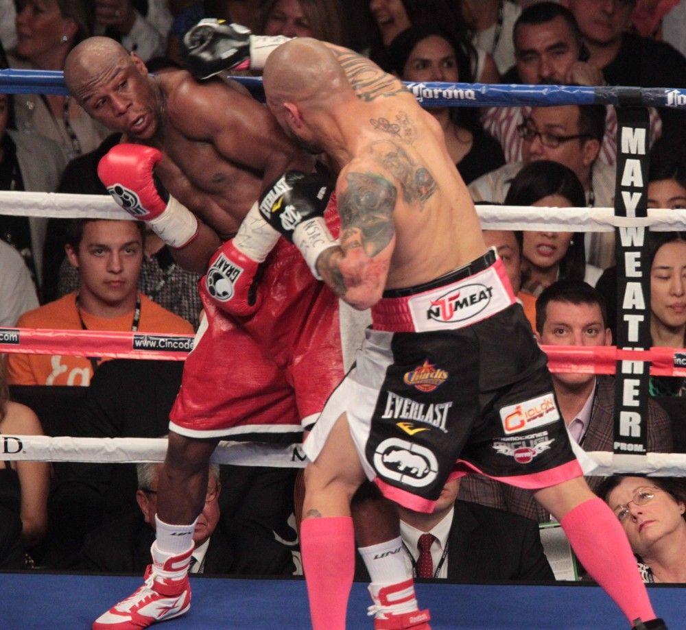 cotto clipart