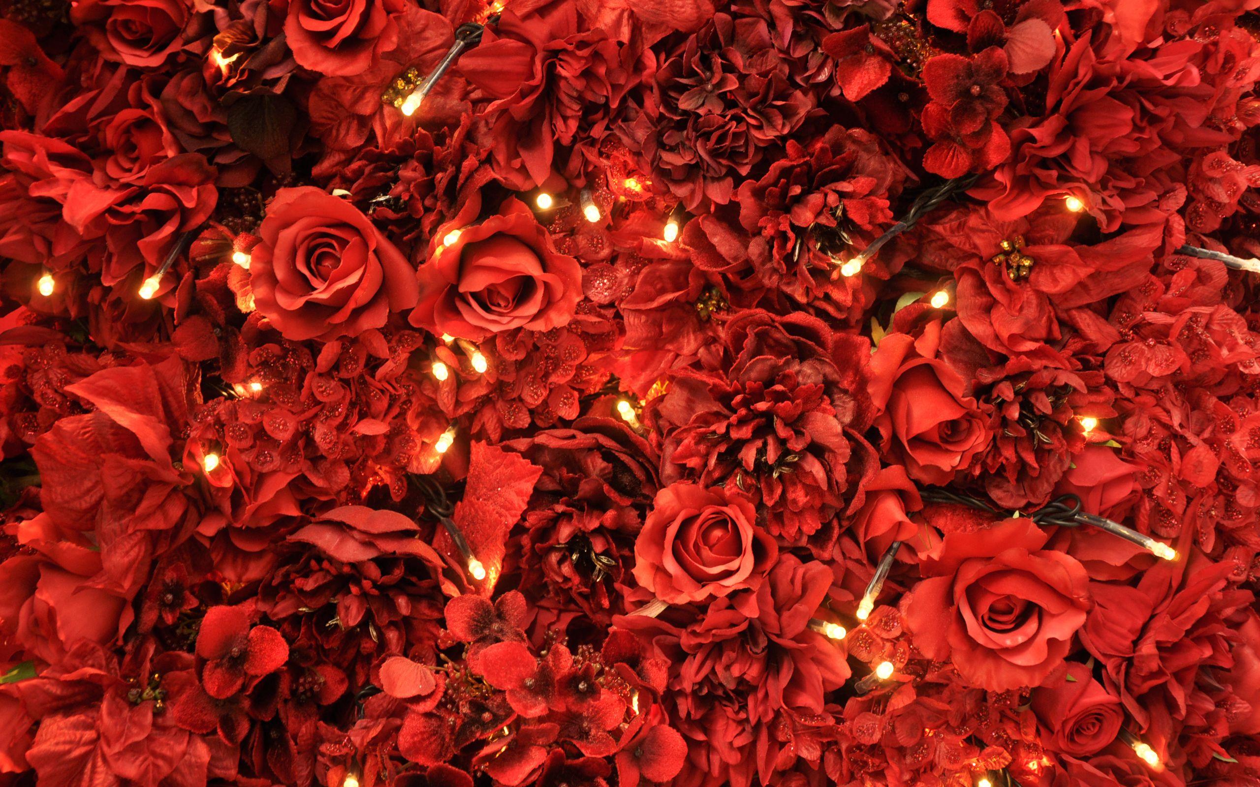 Red Roses Lights Wallpaper