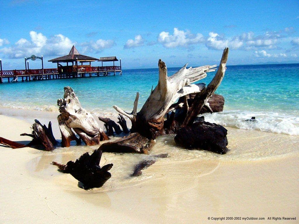 Borneo Tag wallpaper: Sea Beach Beautiful Divers Borneo Sipadan