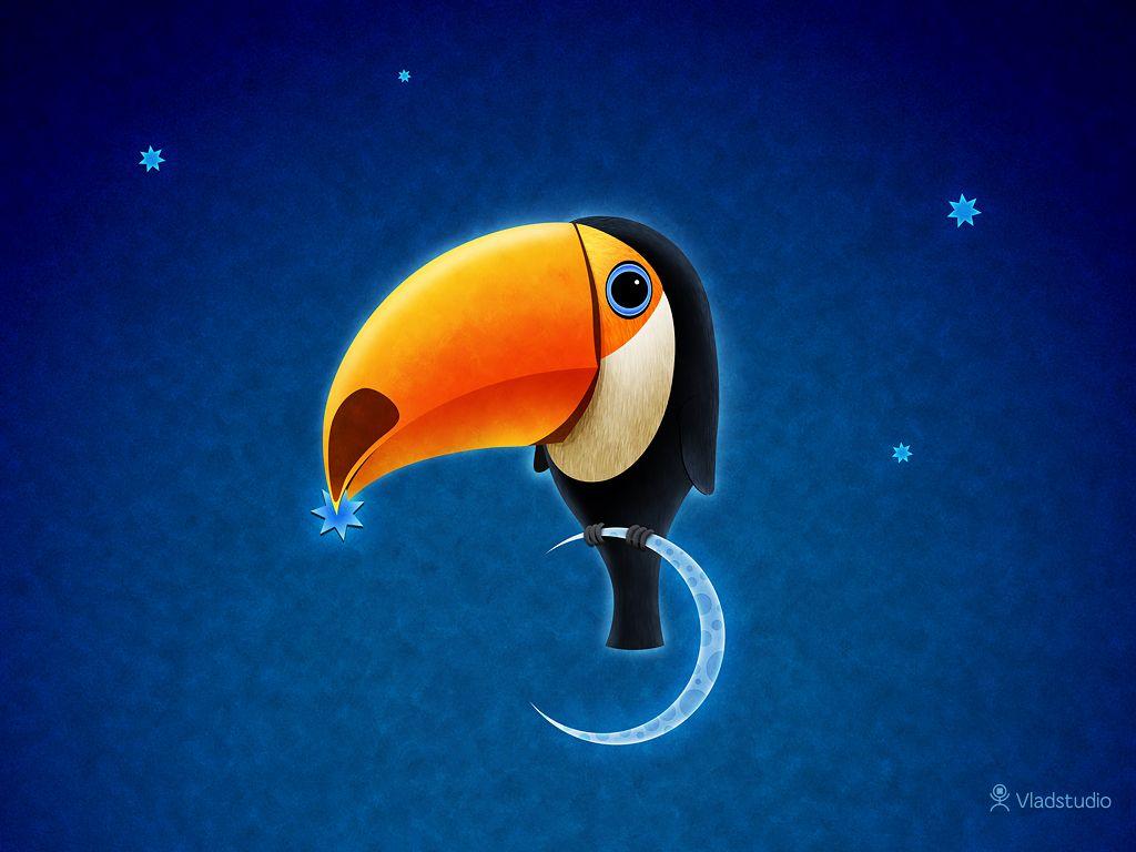 Toucan · Desktop wallpaper · Vladstudio