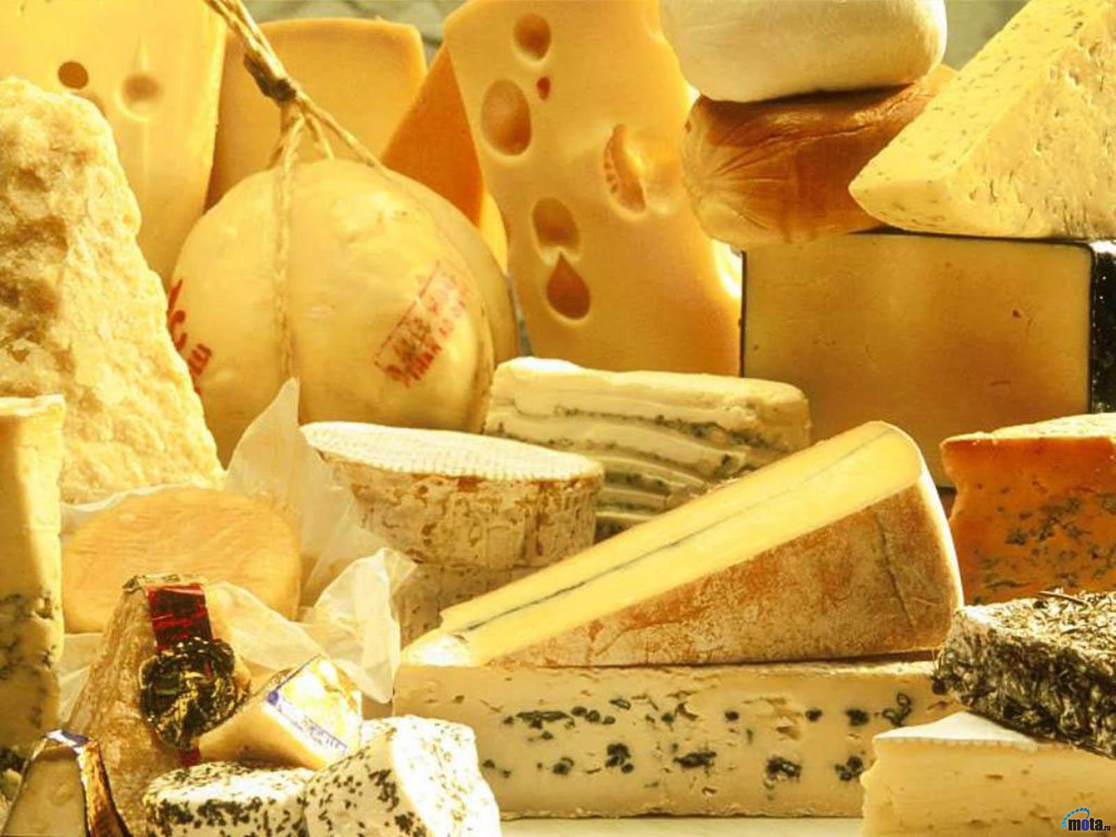 Cheese Wallpaper HD Background, Image, Pics, Photo Free