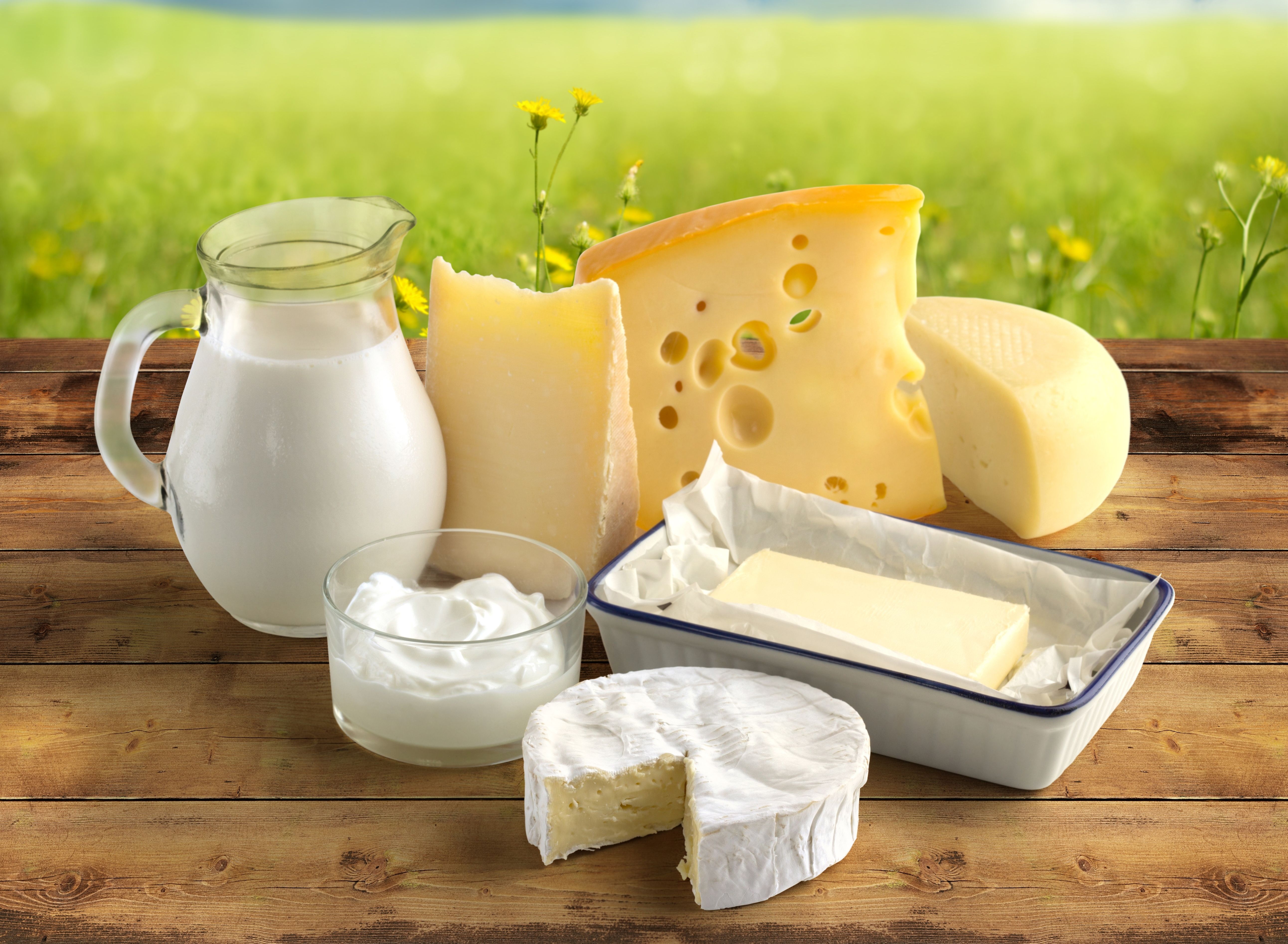 Wallpaper Milk Cheese Jug container Food Closeup 5167x3788