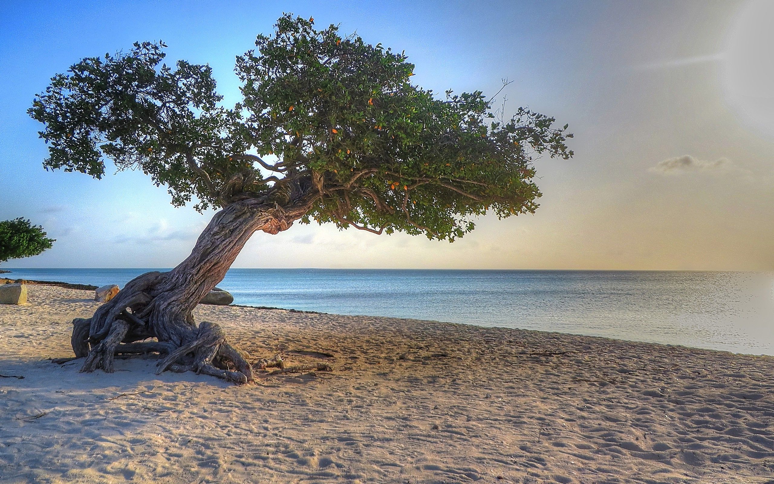 Aruba, Beach Wallpaper HD / Desktop and Mobile Background