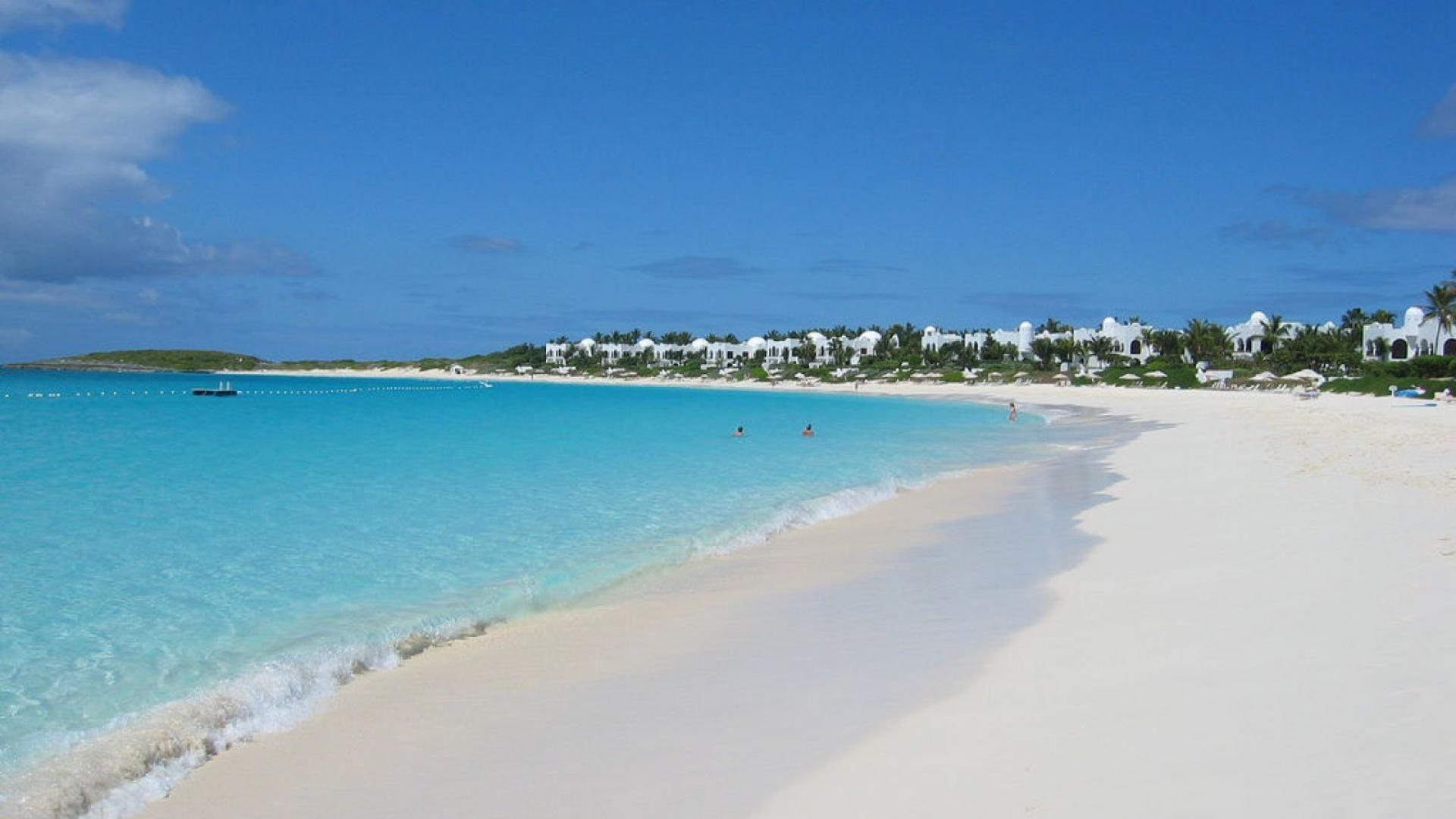 Beach Palm Aruba America S 1920x1080 #beach palm