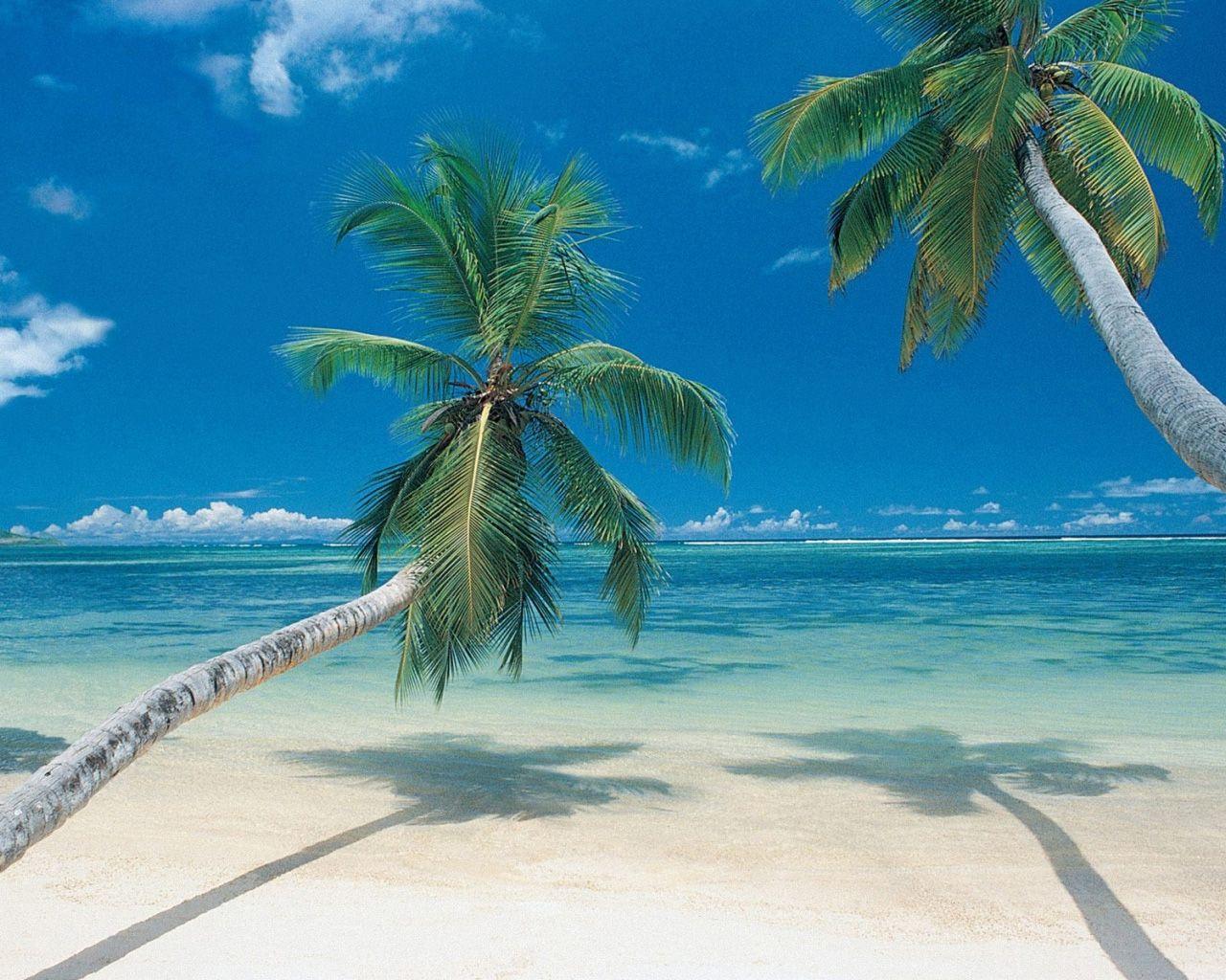 best beaches in peru [1280 1024]. Free Beautiful Wallpaper