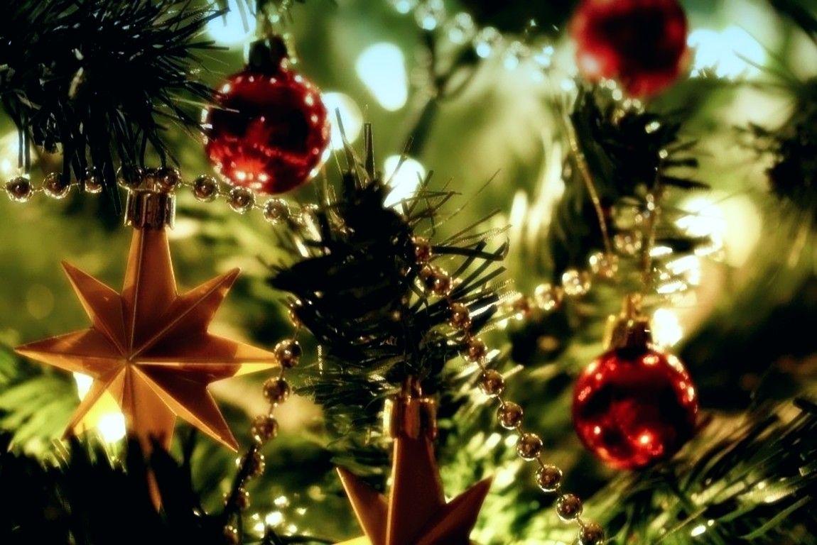 Winter: Country Christmas Tree Winter Pine Lights Season Ornaments