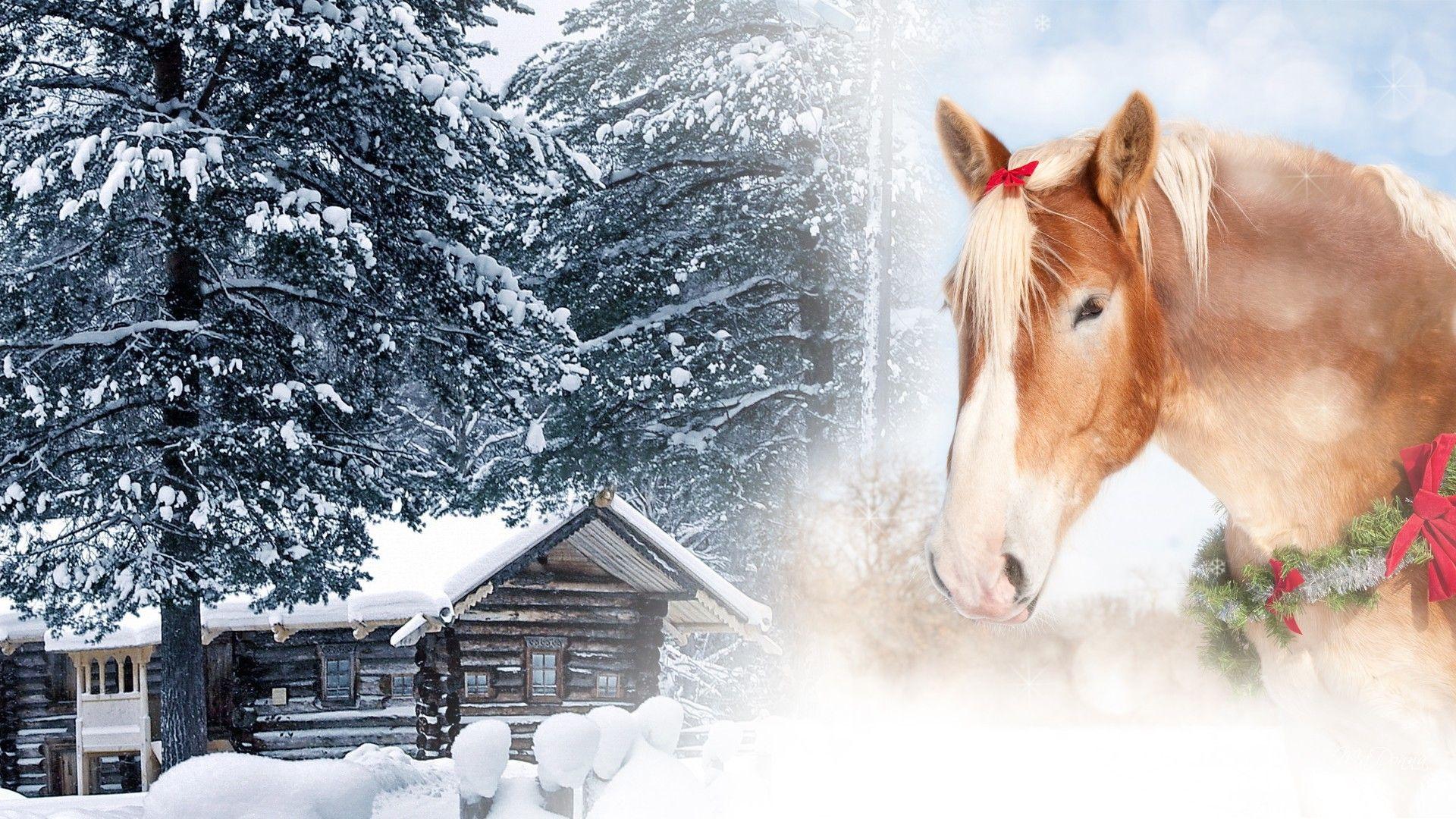 Winter: Christmas Horse Cabin Celebrate Cold Ranch Collage