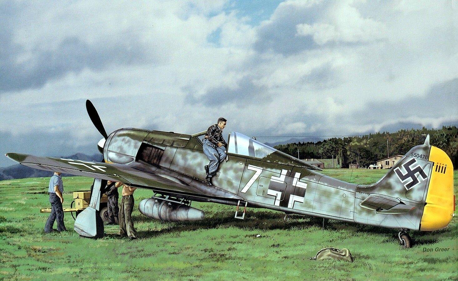 Focke Wulf FW 190 'Butcher Bird' Wallpaper And Background