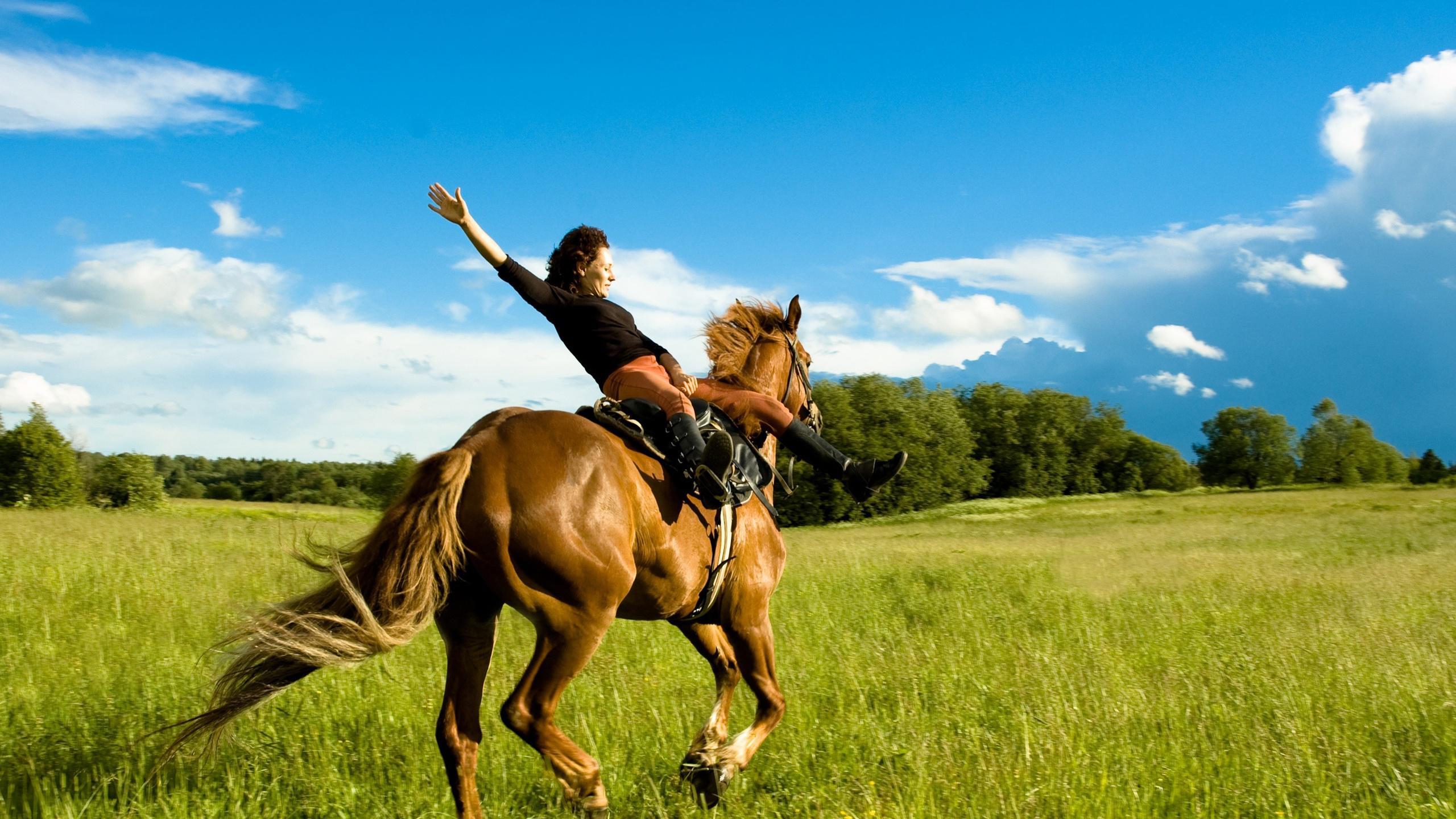 2560x1440px Horse Riding (431.7 KB).09.2015