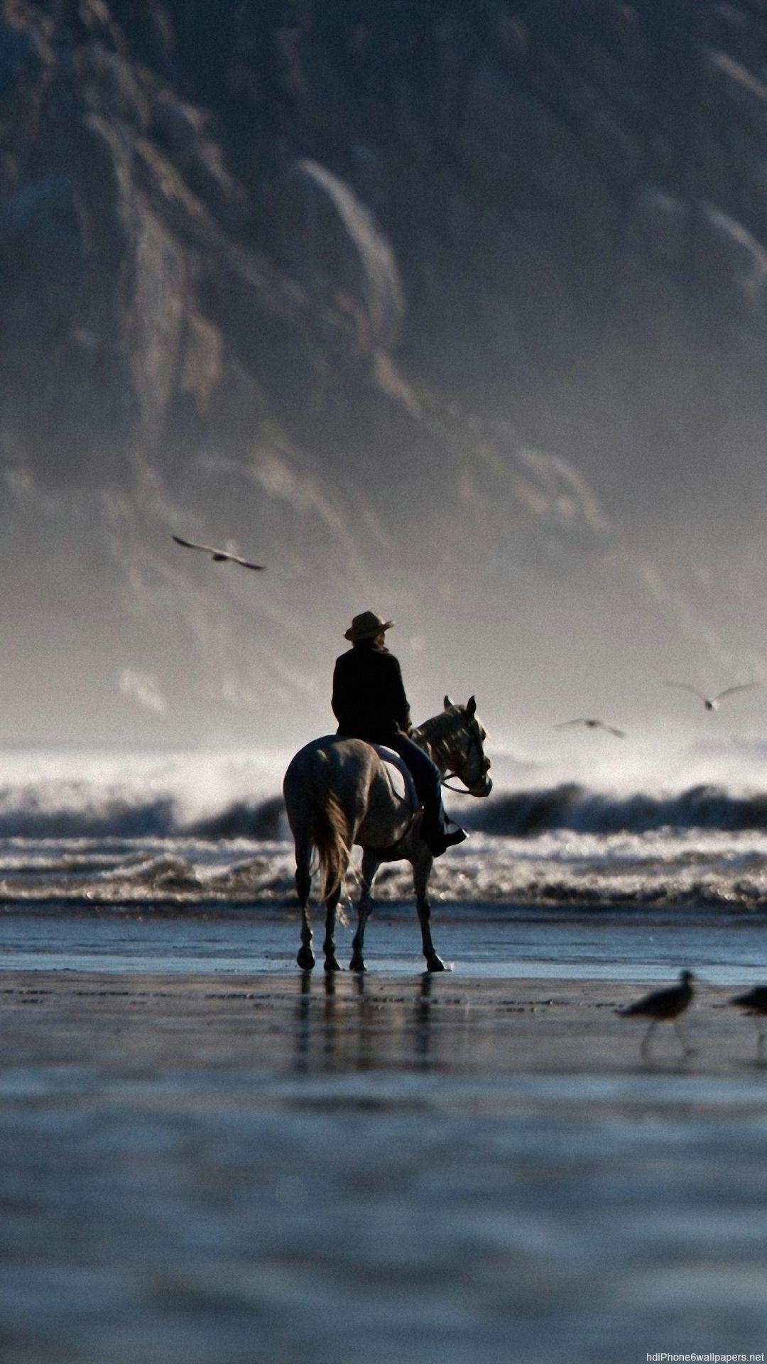 horse rider bird sea beach iPhone 6 wallpaper HD and 1080P 6 Plus