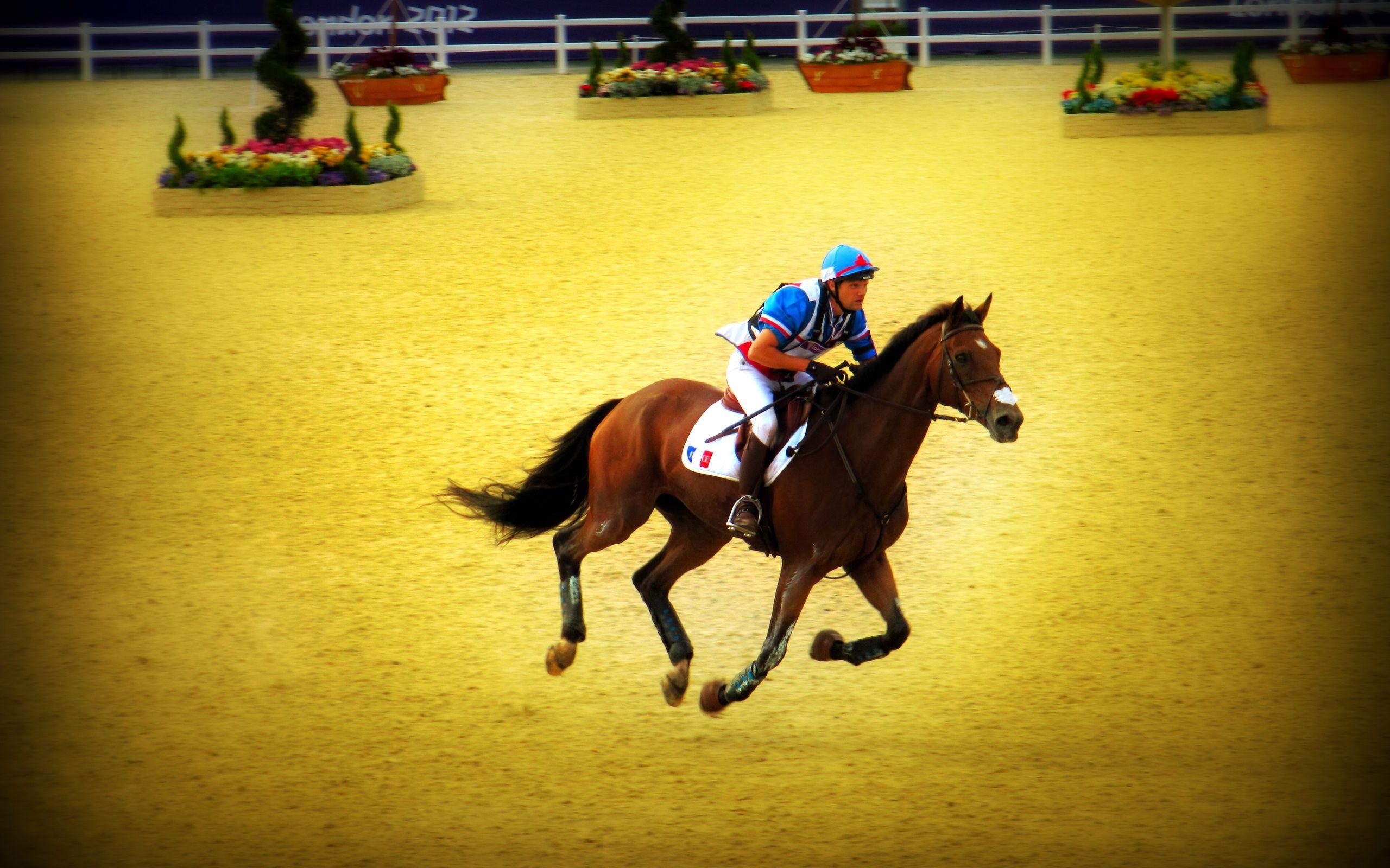 Horse Riding Sport. Photo and Desktop Wallpaper