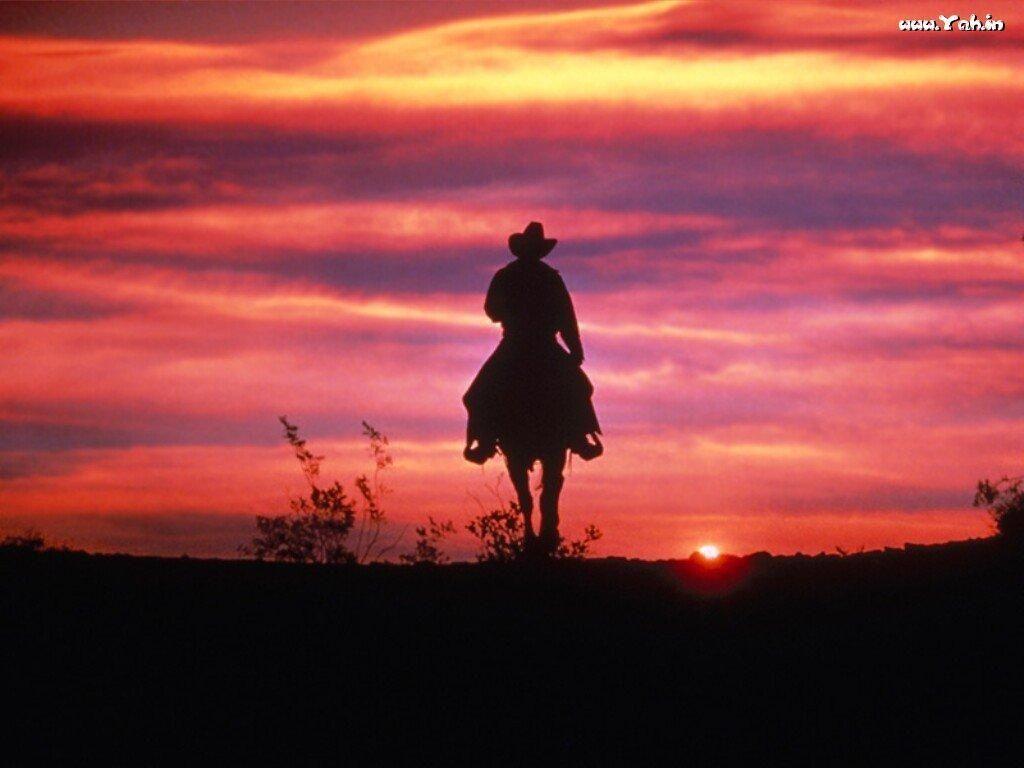 Nature. Riding Horse Into Sunset