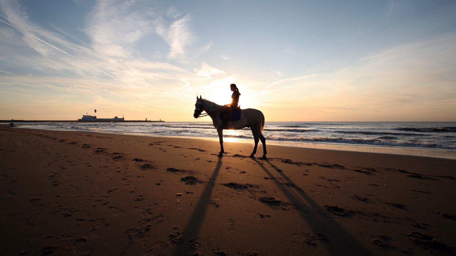 Horse Riding Full HD Wallpaper and Backgroundx1080