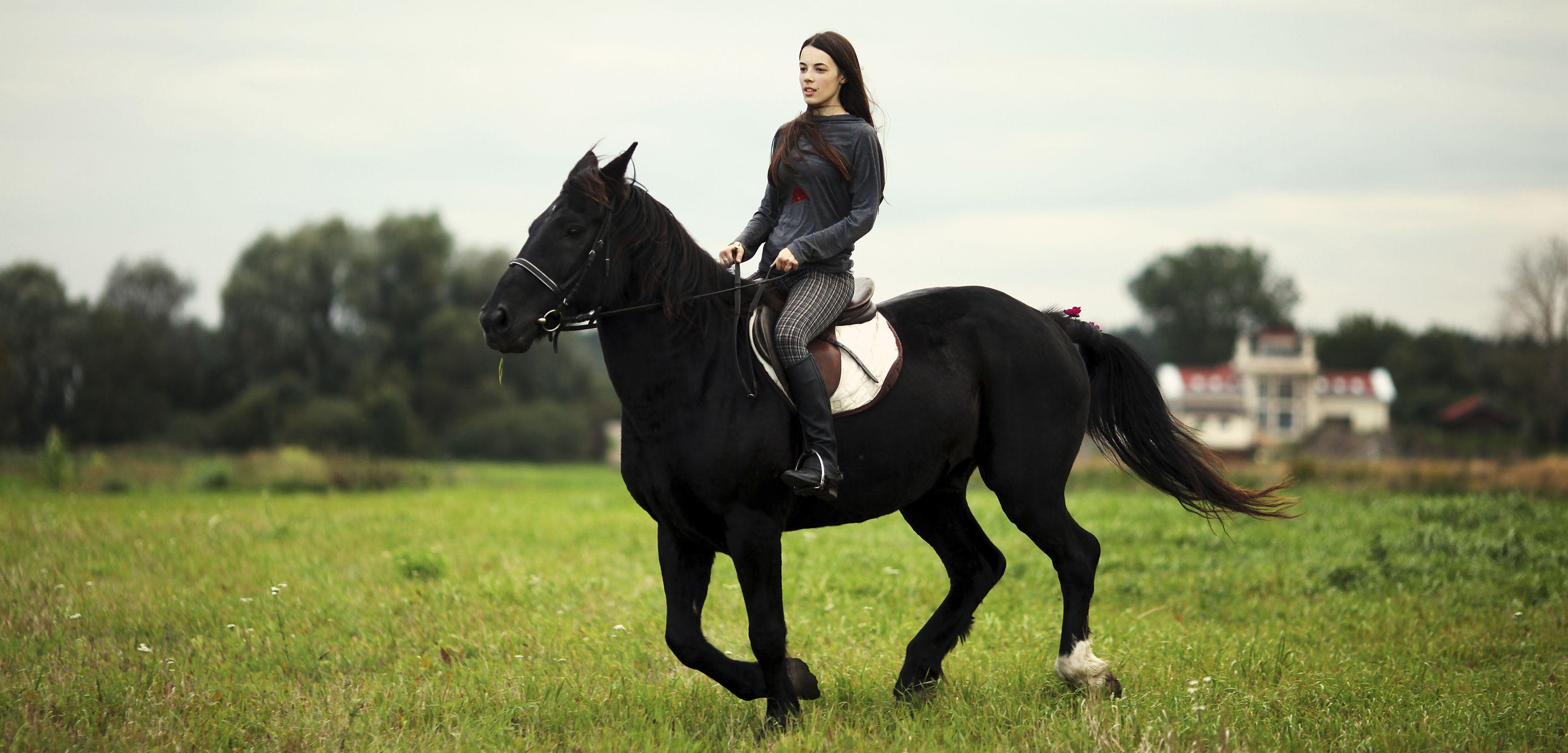 Horse and rider wallpaper and image, picture, photo