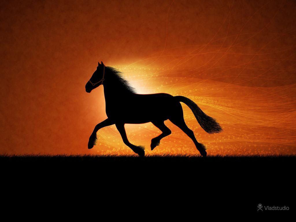 The Running Horse · Desktop wallpaper · Vladstudio