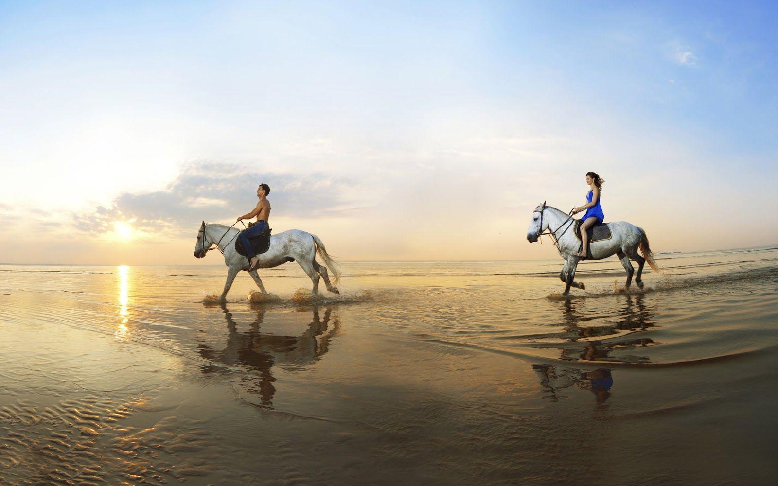 Two people horseback riding on the beach. HD Animals Wallpaper