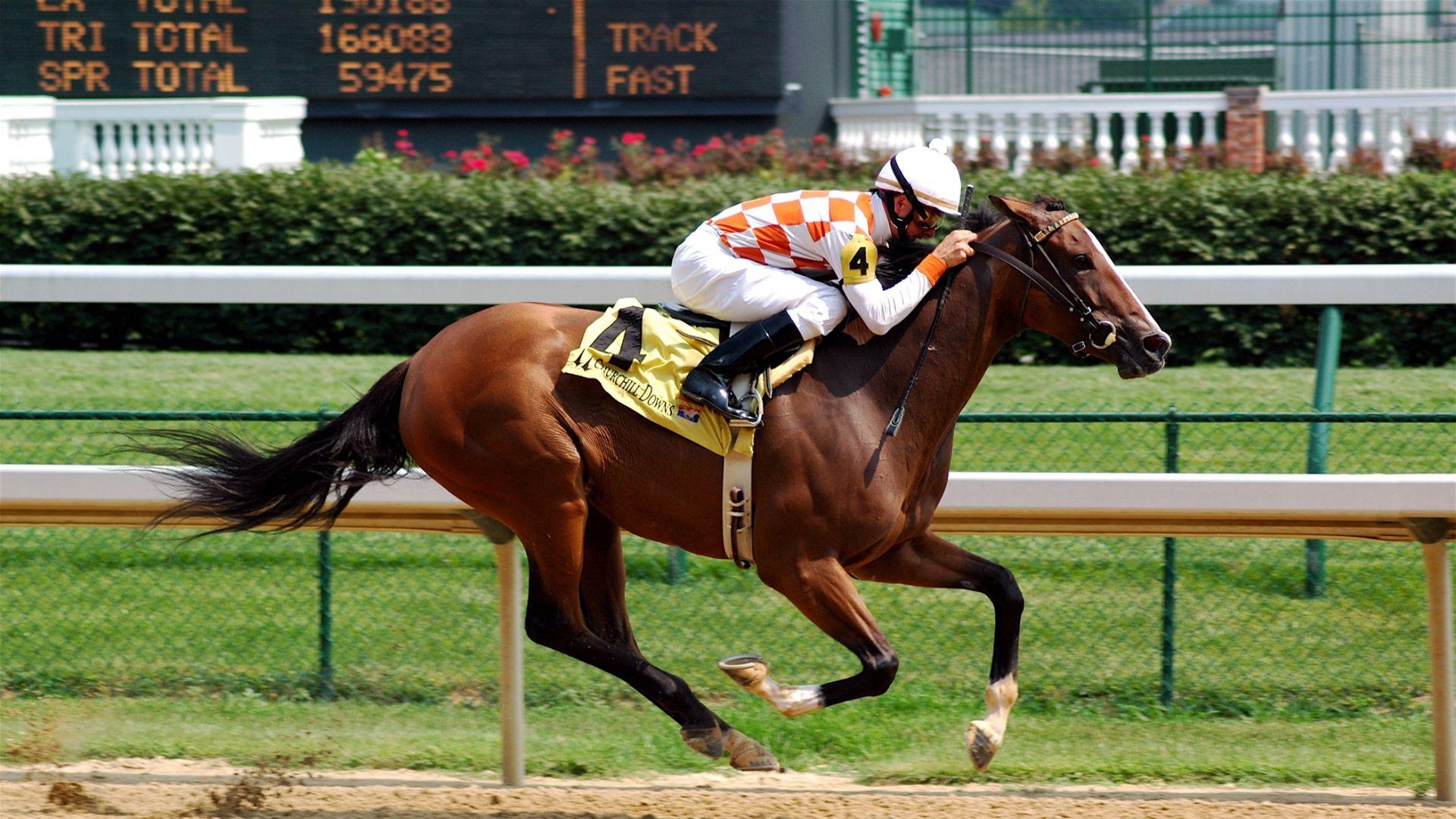 Download Wallpaper 1920x1080 horse, riding, racing, mud Full HD