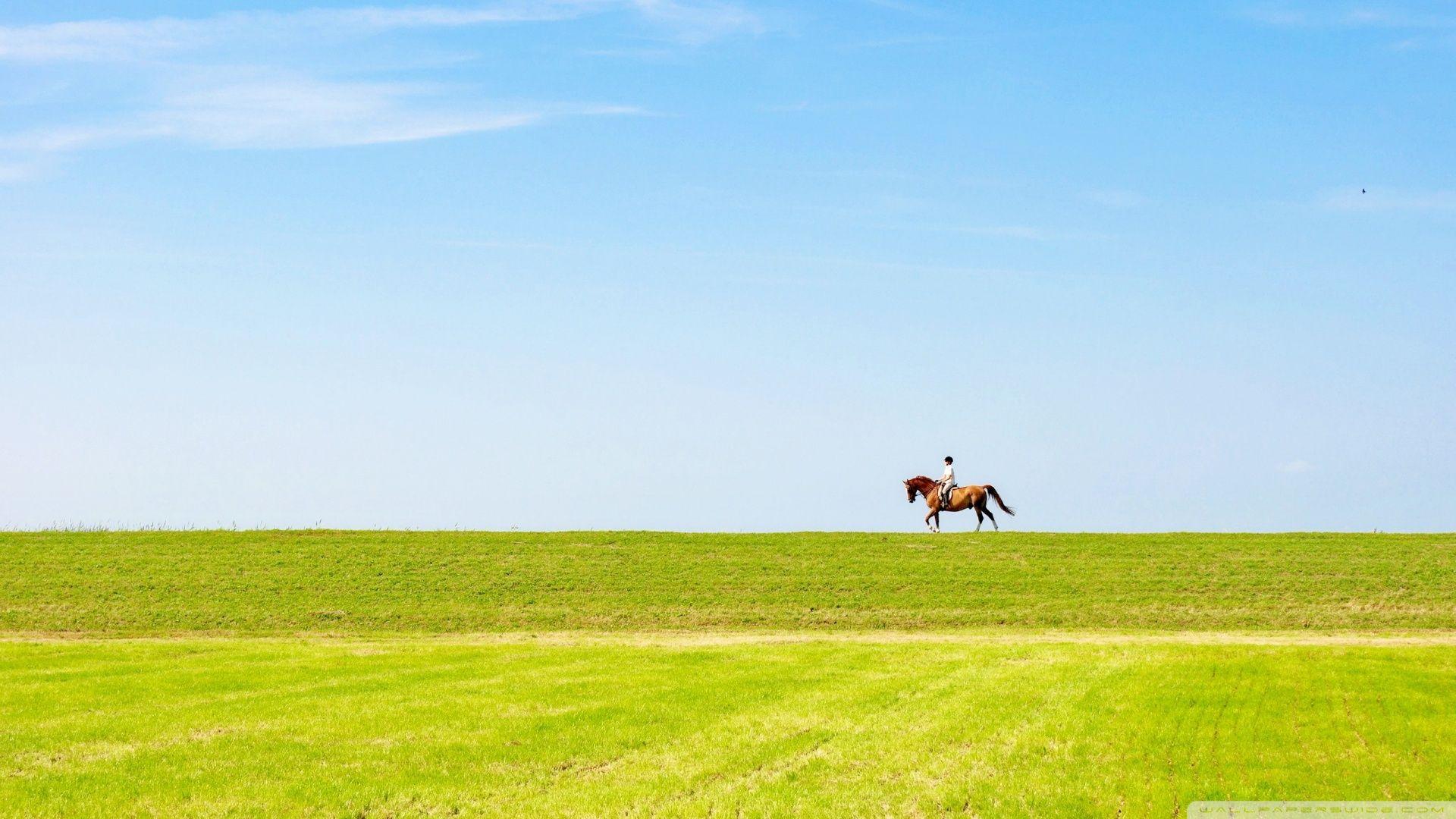 Horse Riding ❤ 4K HD Desktop Wallpaper for 4K Ultra HD TV • Dual