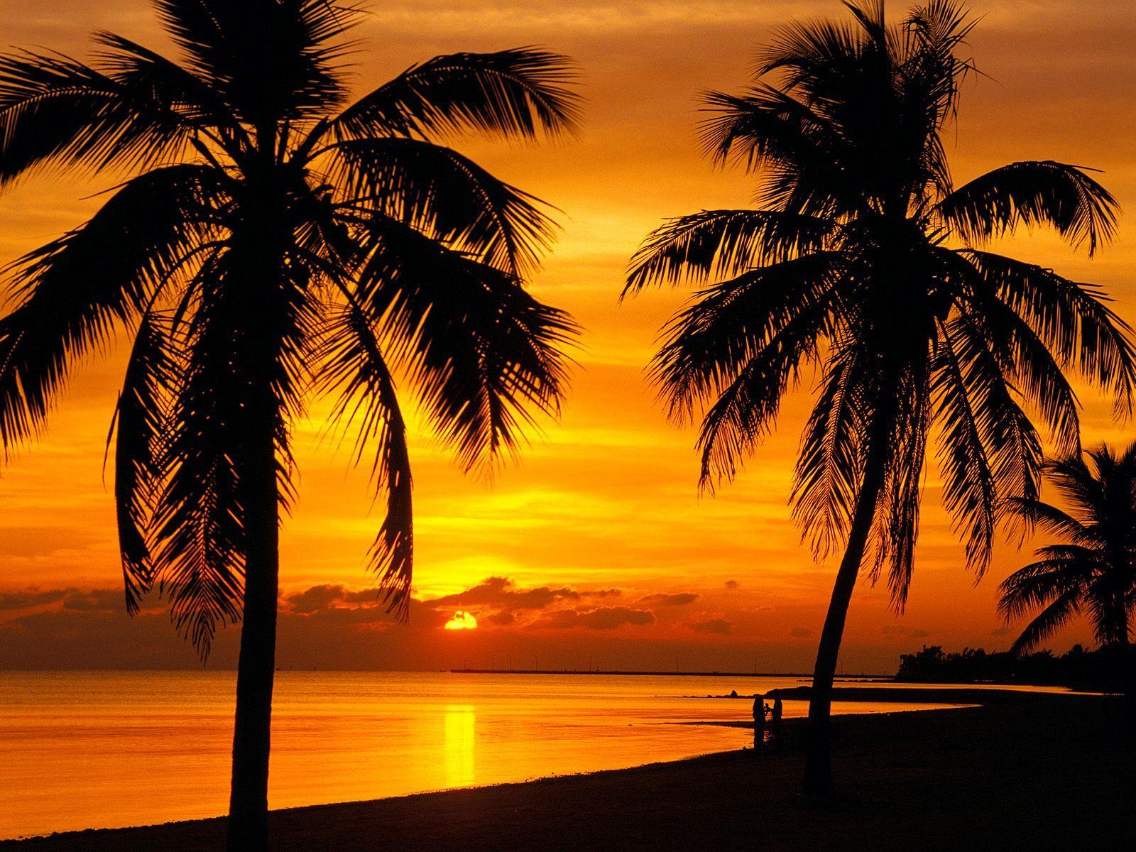Download Background Sunset, Key West, Florida Cool