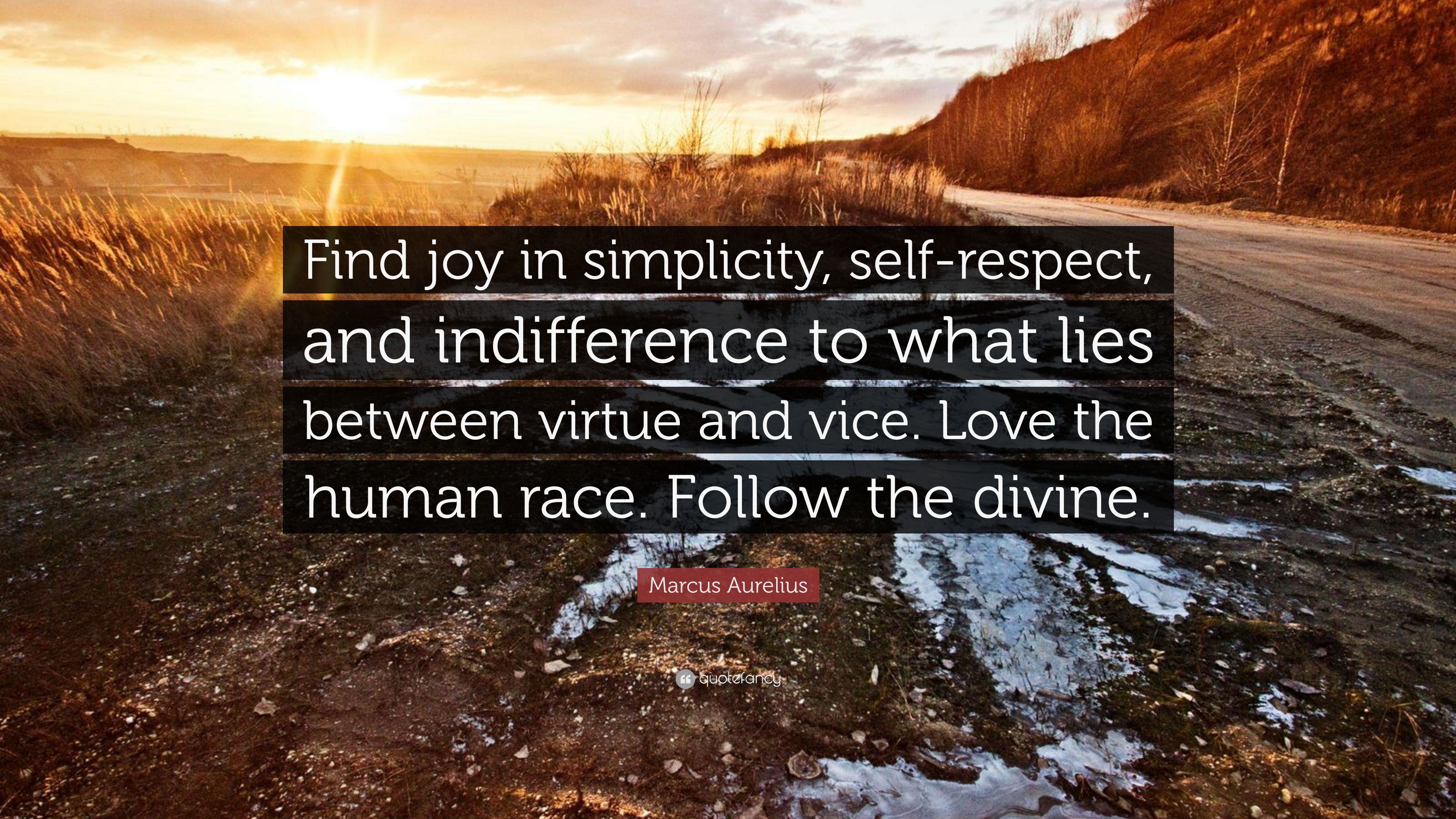 Marcus Aurelius Quote: “Find Joy In Simplicity, Self Respect