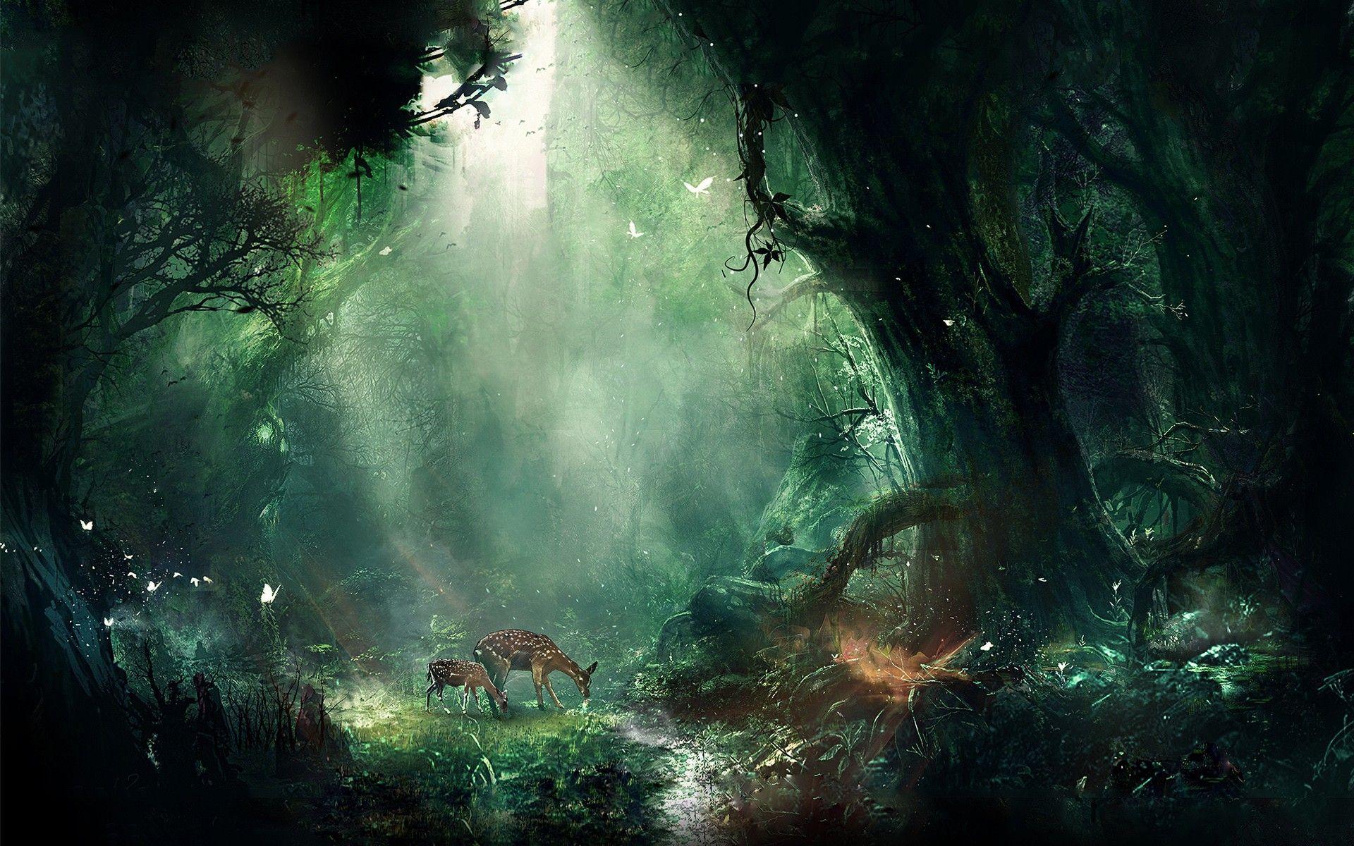 Deer often graze in the magic forest wallpaper and image