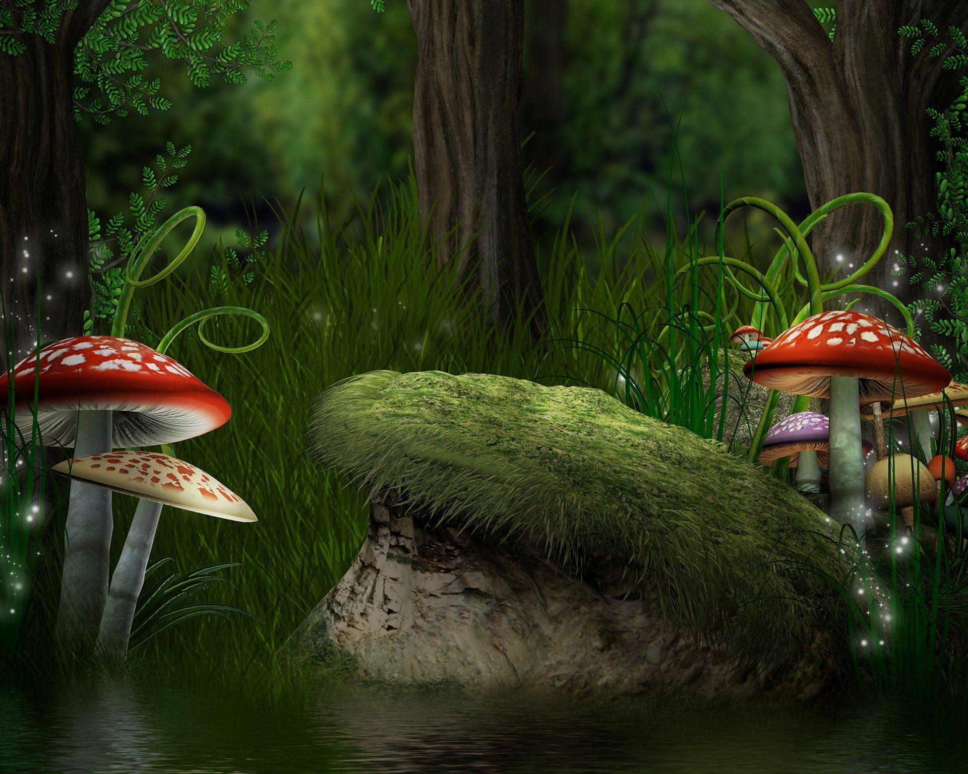 magic forest mushroom mushrooms amanita ferns grass forest HD