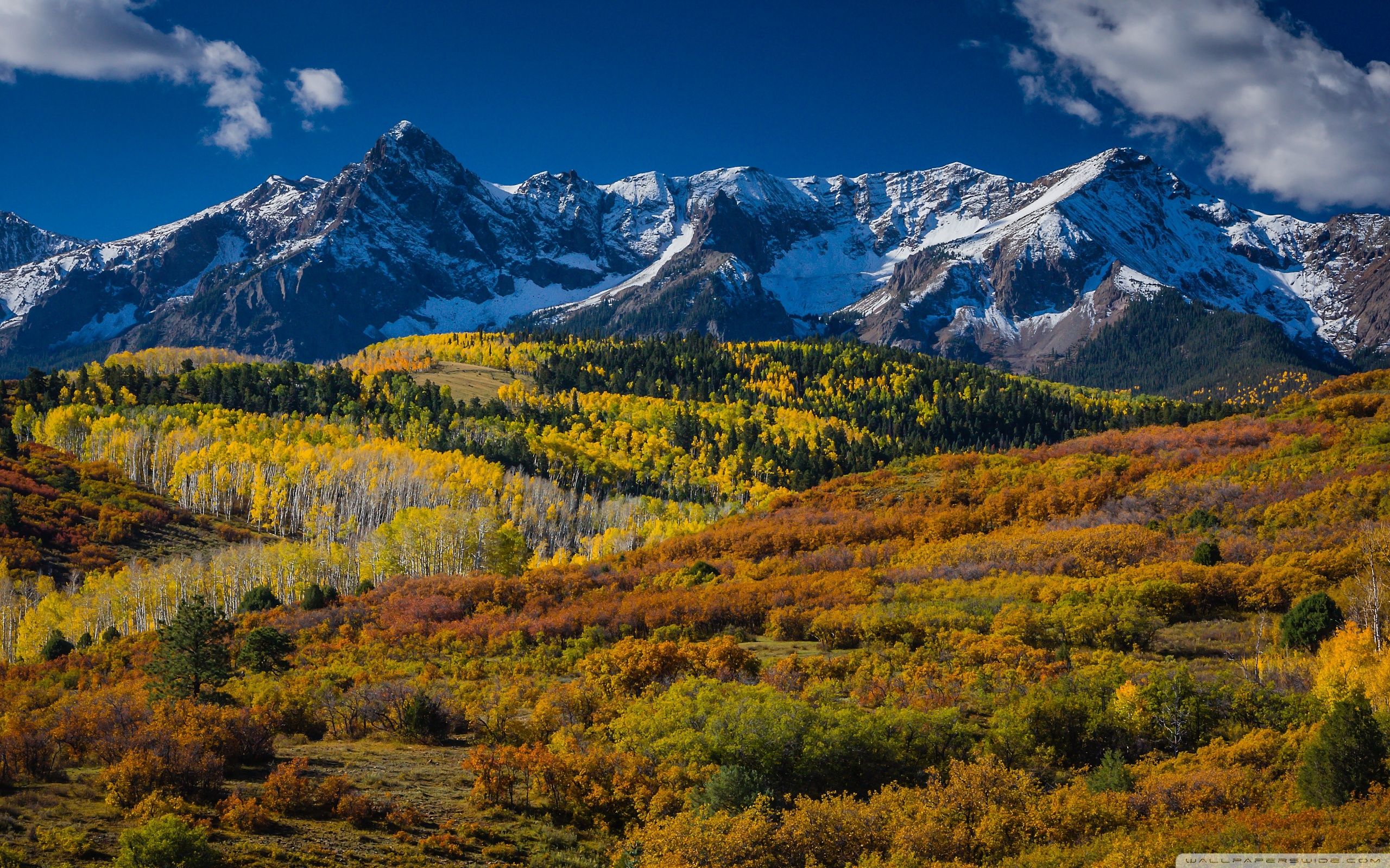 Mountain Landscape In Aspen, Colorado ❤ 4K HD Desktop Wallpaper