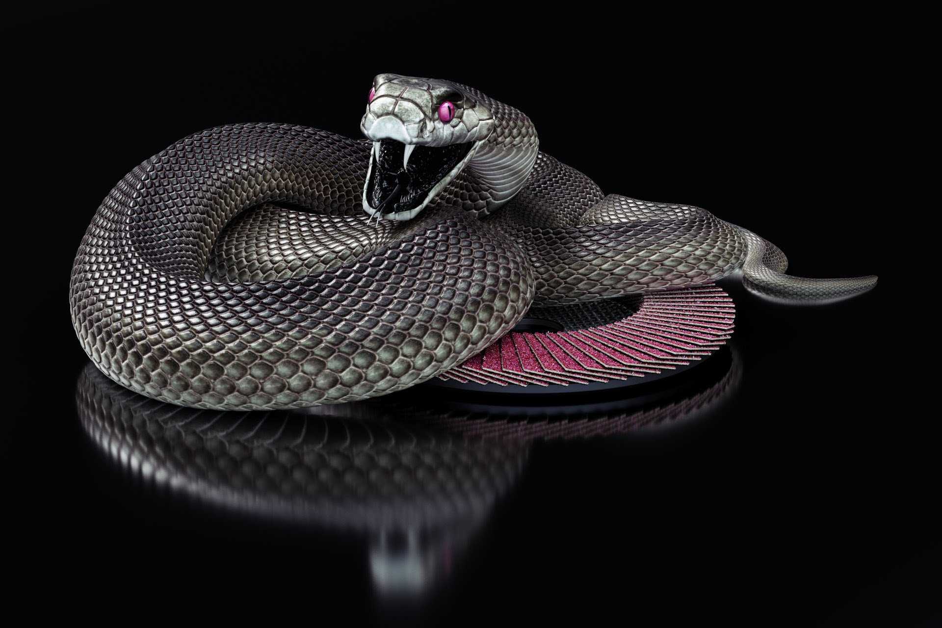 black cobra snake wallpaper Collection