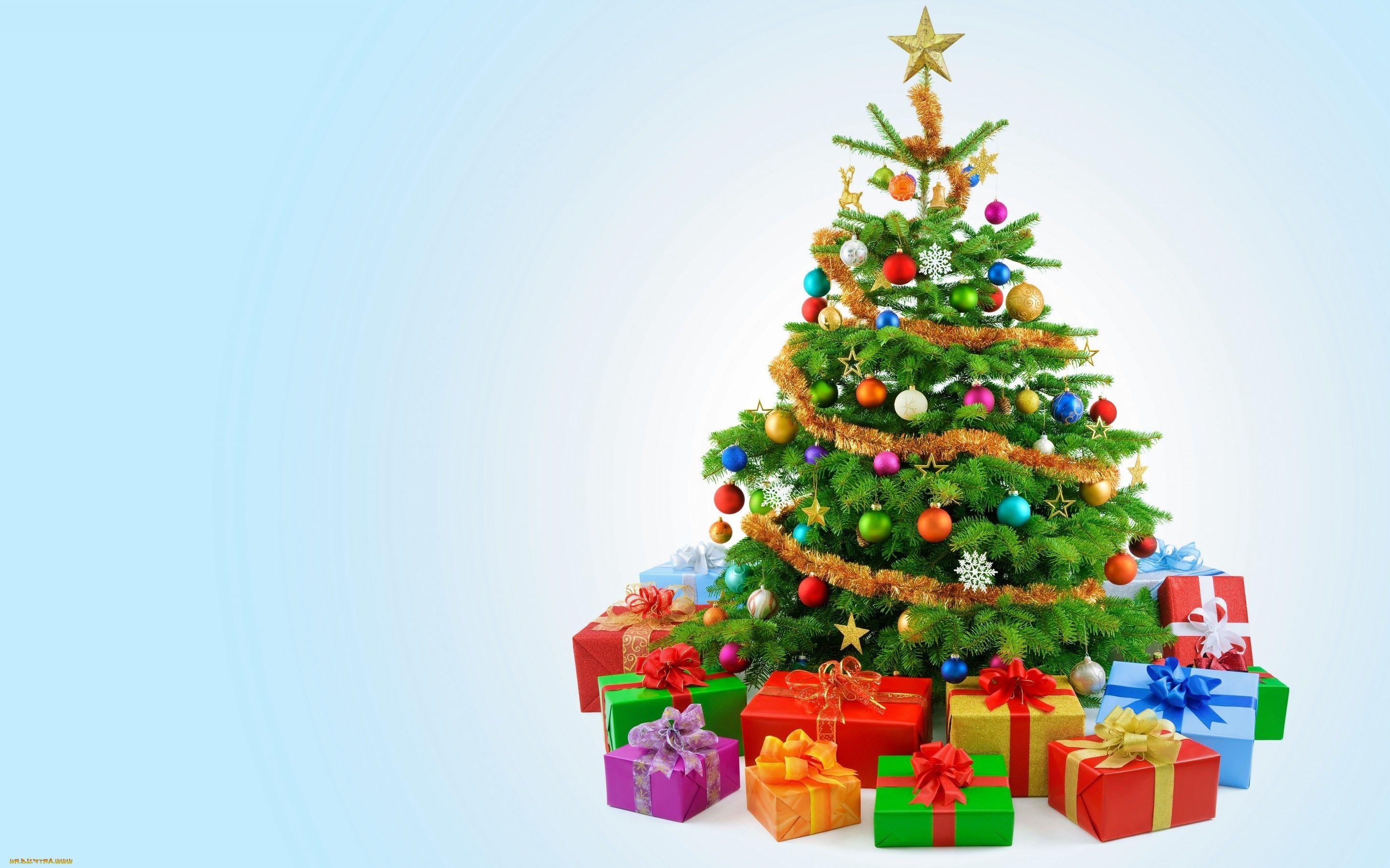 écran HD fête Noël Christmas arbre sapin avec cadeau de toute