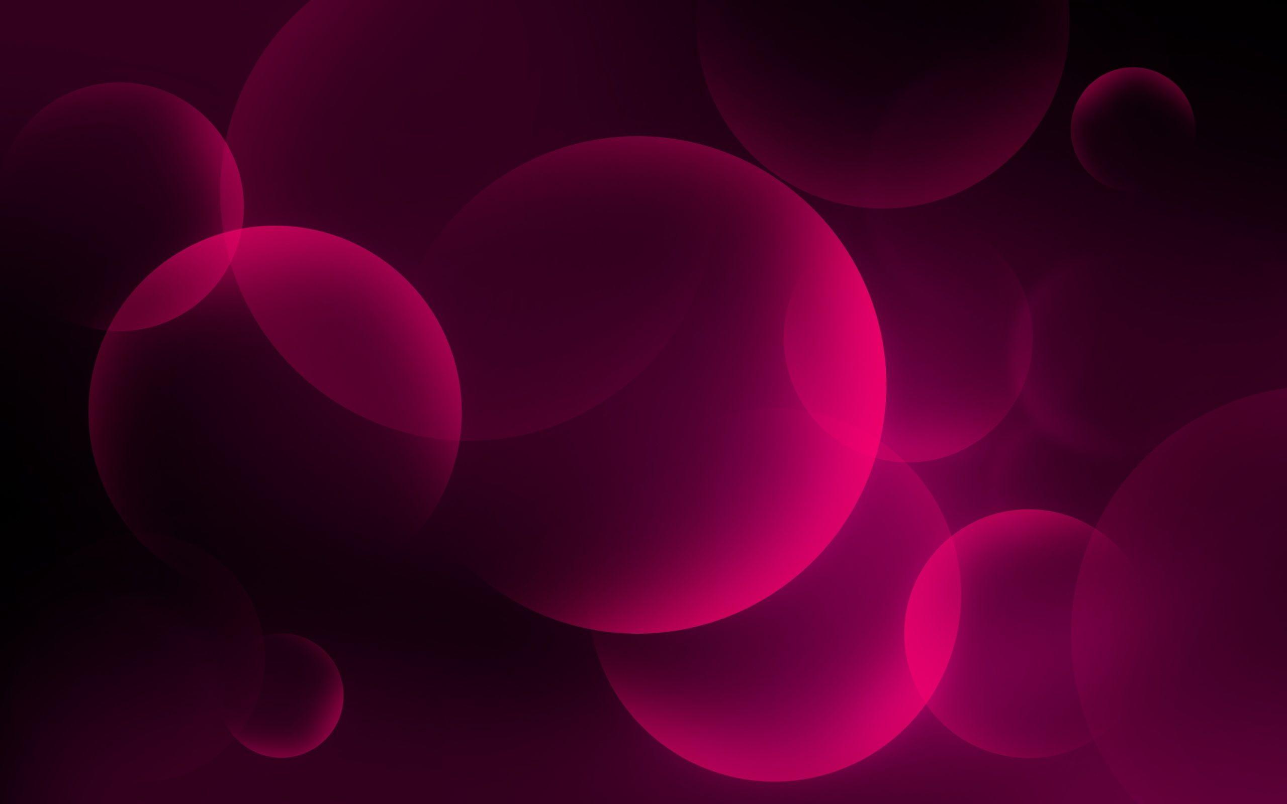 Pink and Black Wallpaper 23780 2560x1600 px