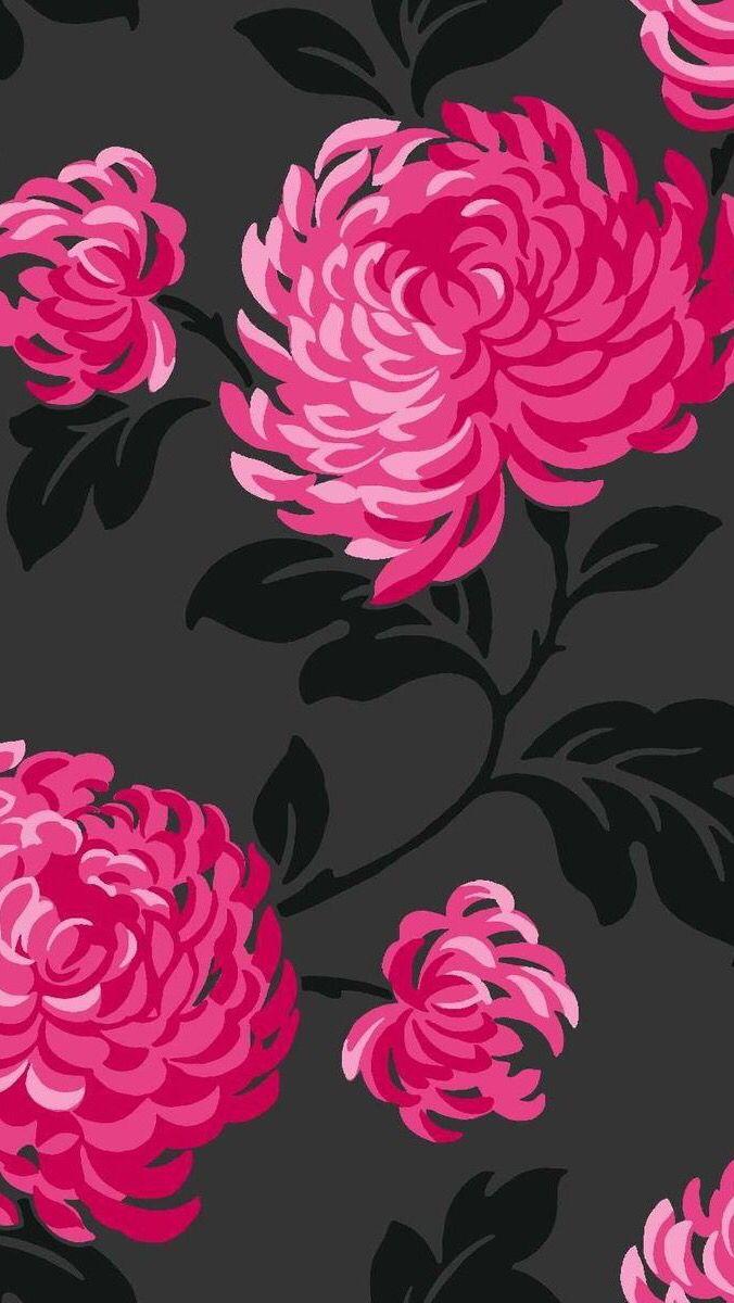Flowers black hot pink fuschia. Floral Wallpaper