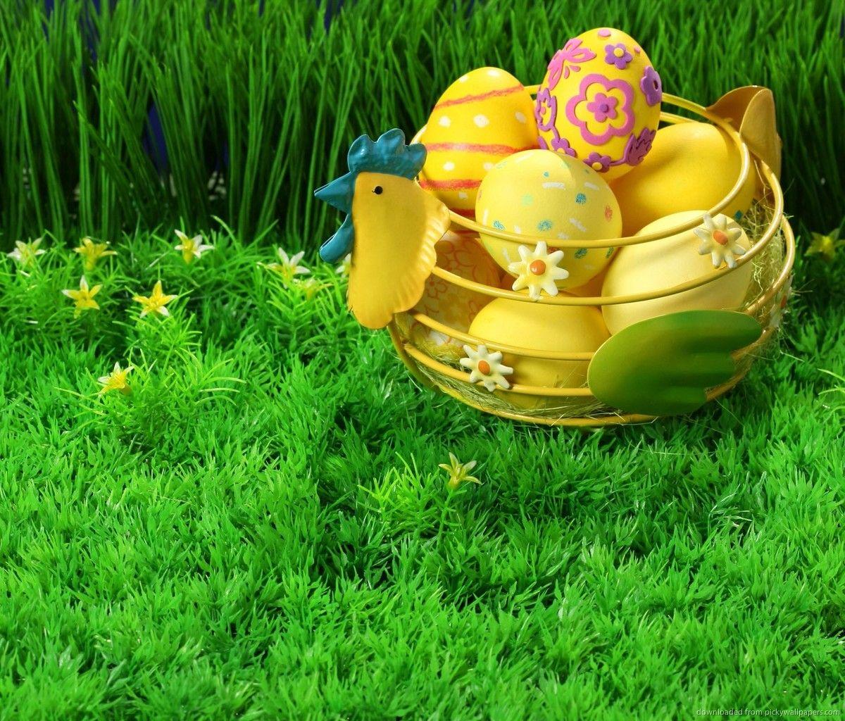 Download Hen Egg Holder On Artificial Grass Wallpaper For Samsung