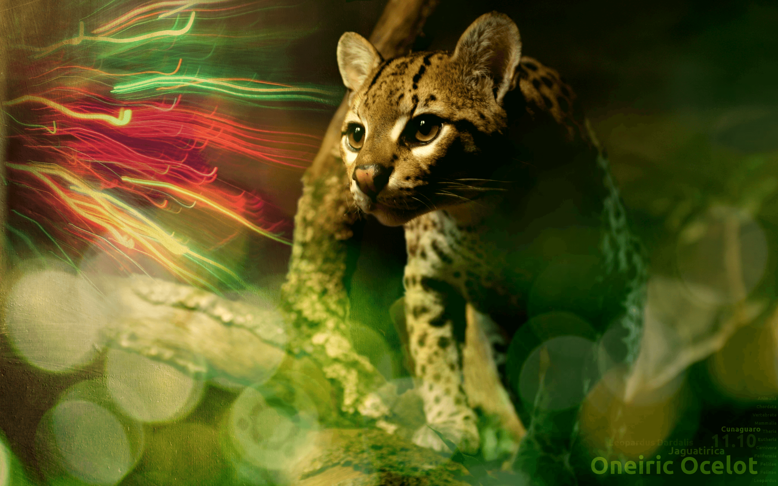 Ubuntu Ocelot Wallpaper By Hink Prod