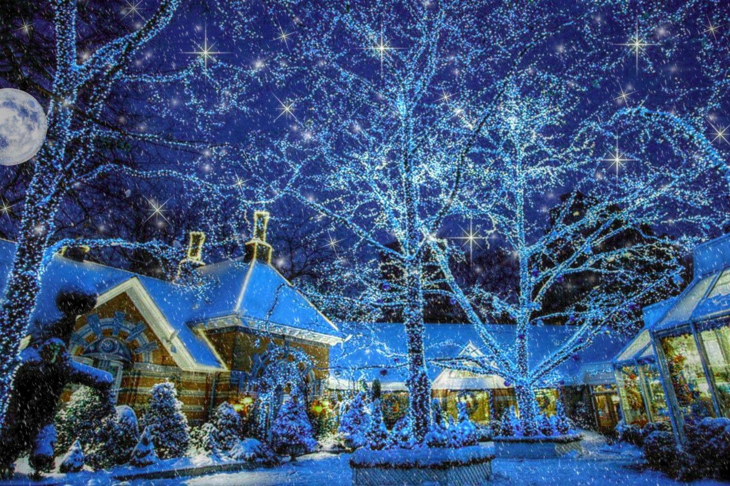 Winter: Holiday Winter Lights Stars Star Christmas Moon Snow Night