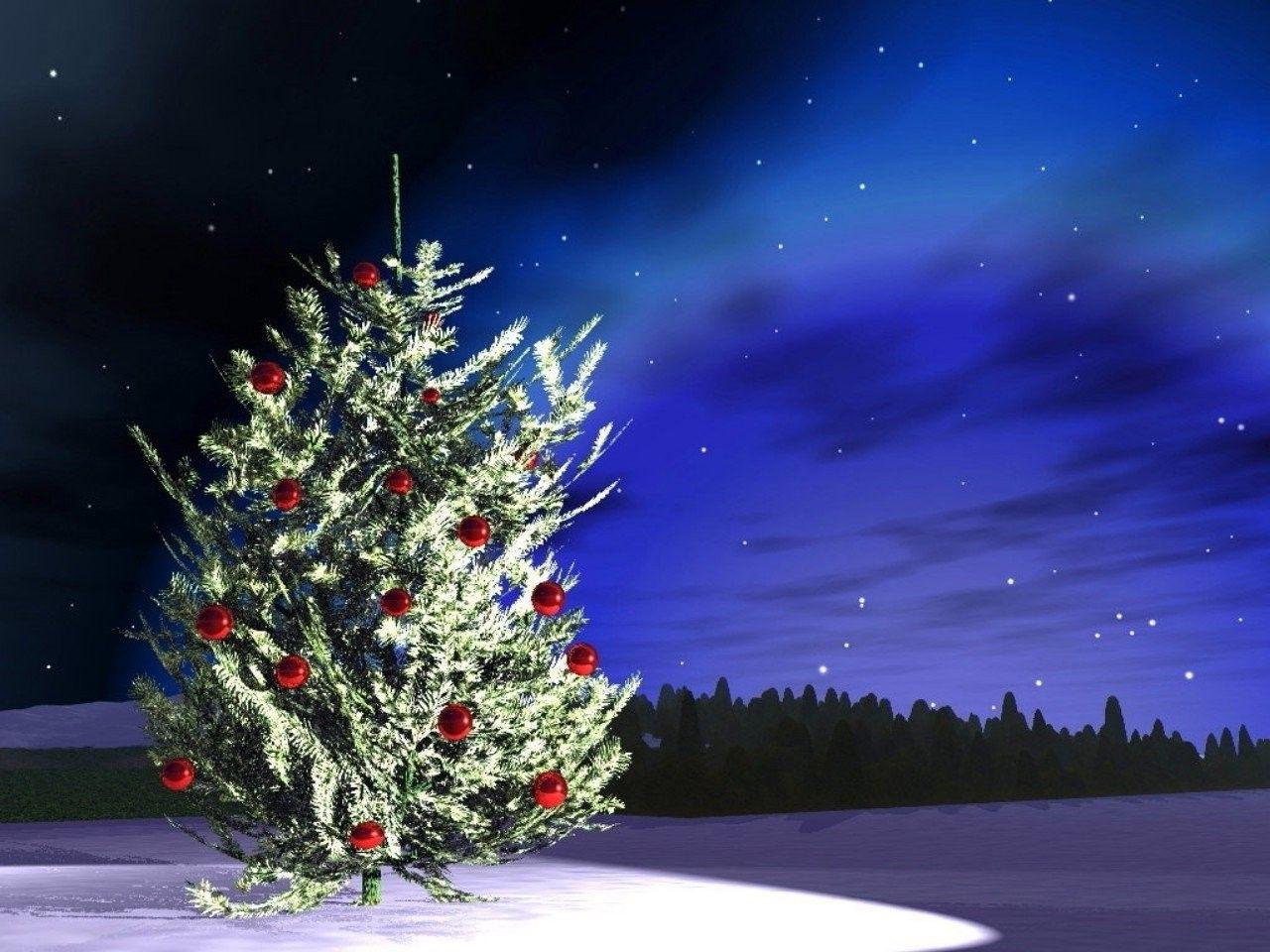 Forests: Night Tree Outdoor Christmas Stars Snow Sky Forest Image