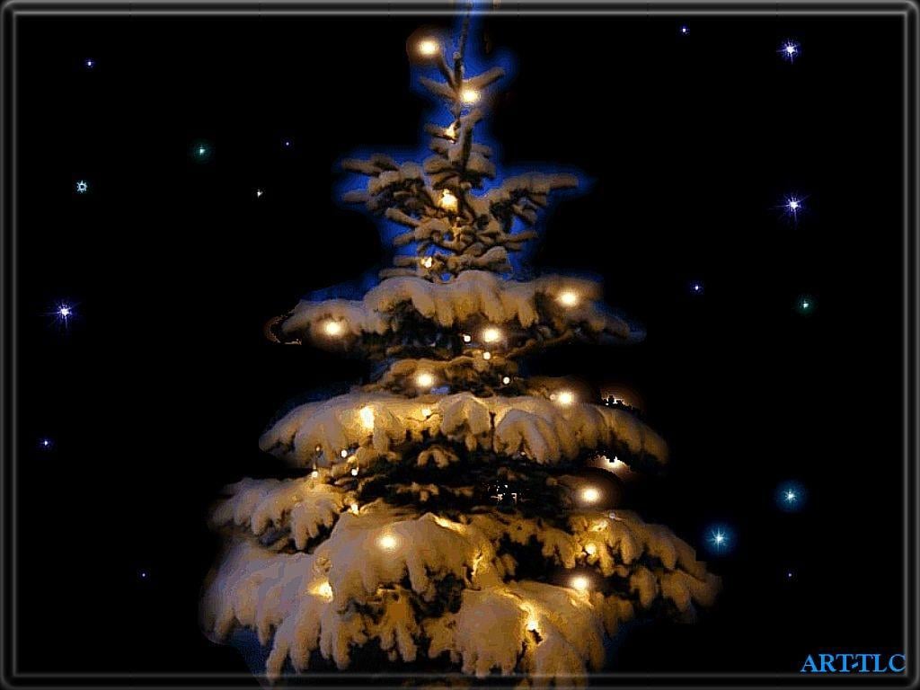 happy holi 2012: Christmas Decorations 25th December, Xmas Quotes
