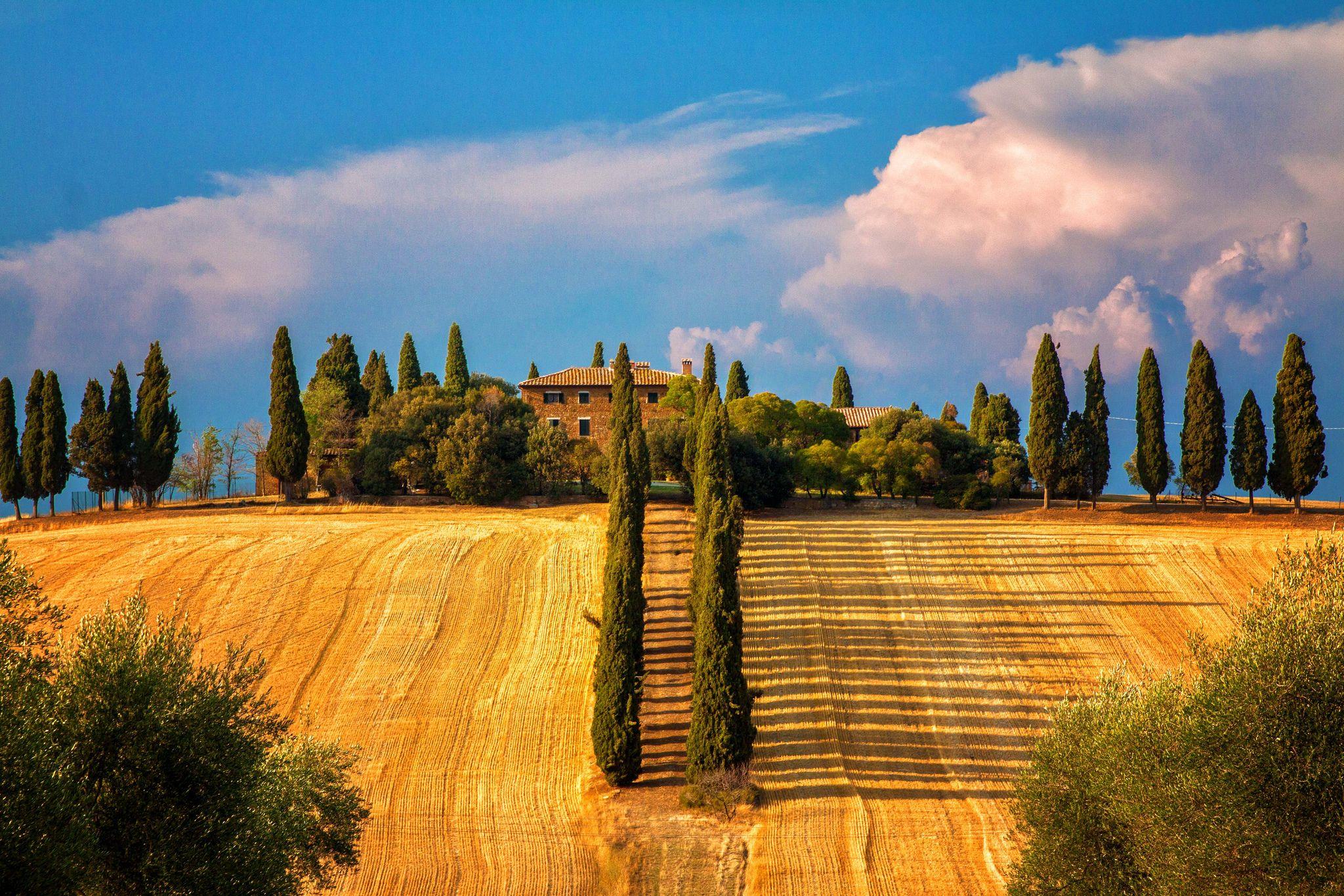 Tuscany Picture