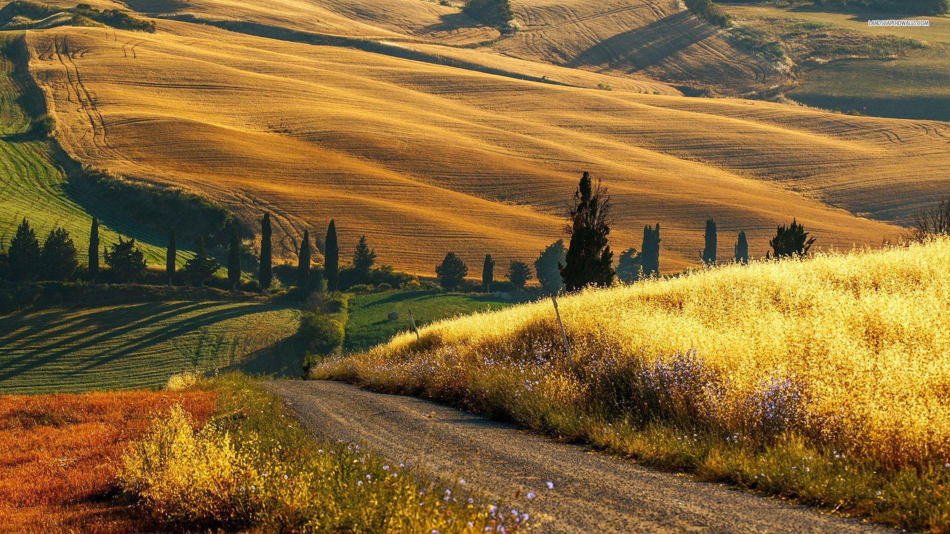 Tuscany wallpaperx1080