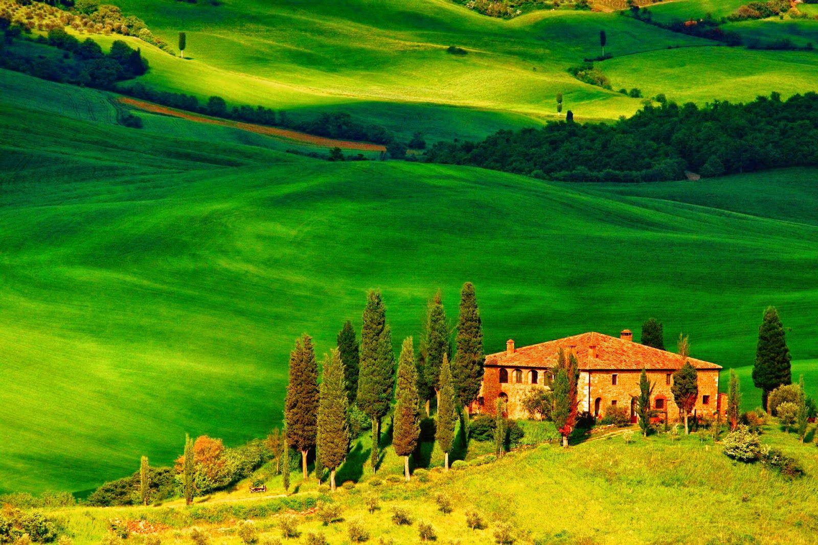 Download wallpaper 4 free