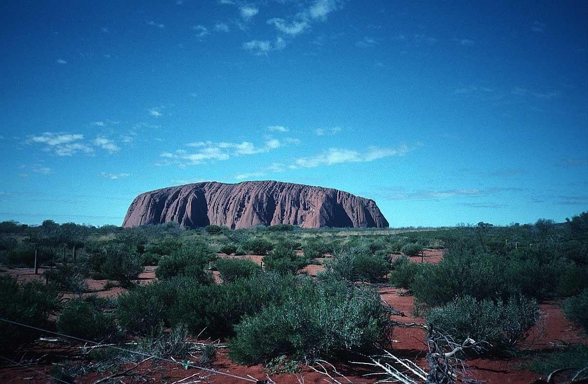Deserts: Uluru Desert Red Shrubs Dingo Rock Large Australia Outback