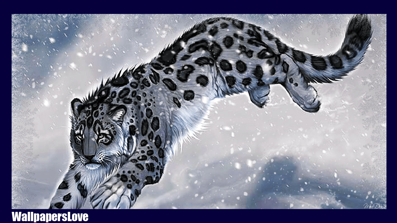 HD wallpaper: Cats, Snow Leopard | Wallpaper Flare