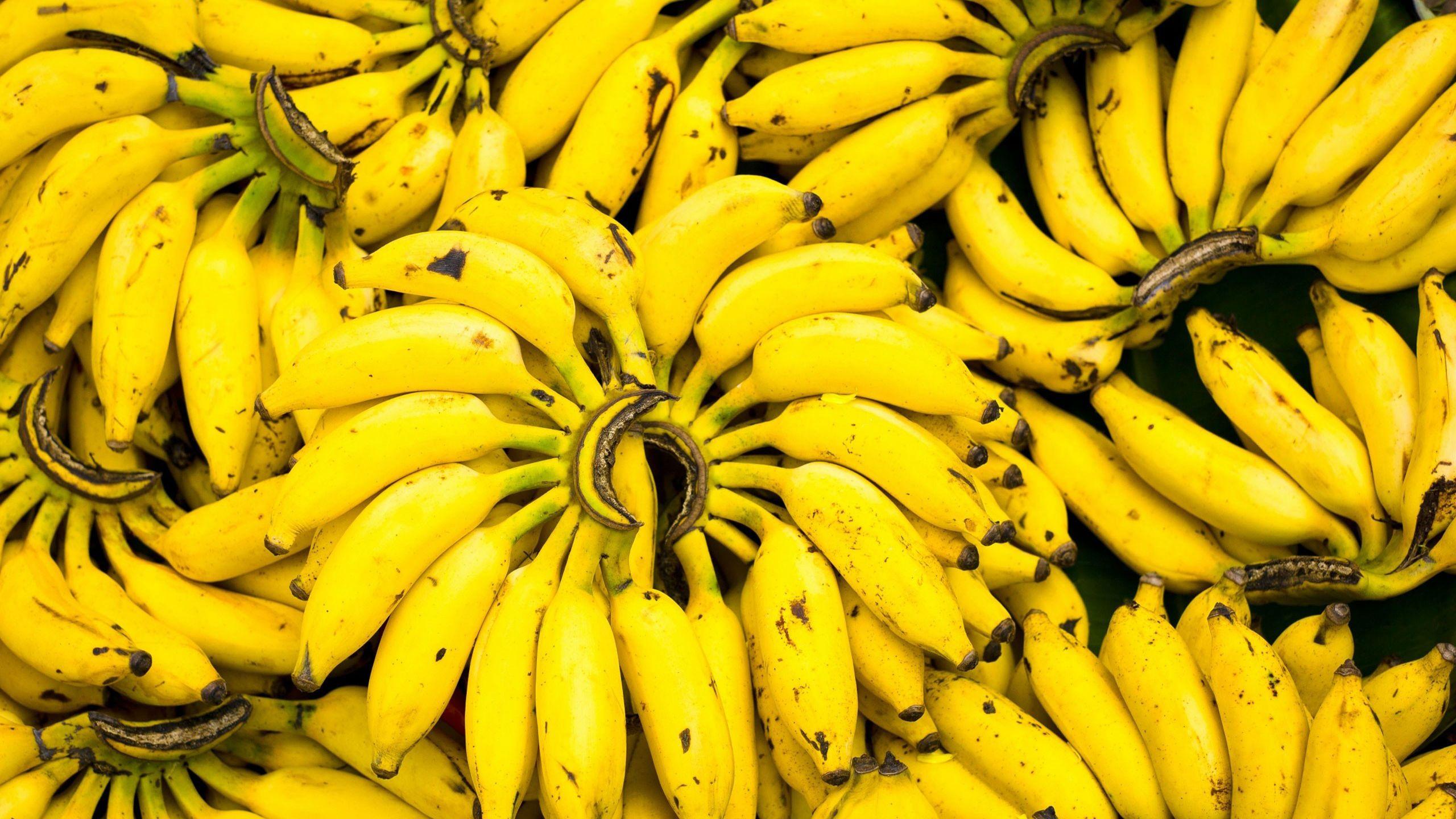 Banana Fruit HD Wallpaper 0004